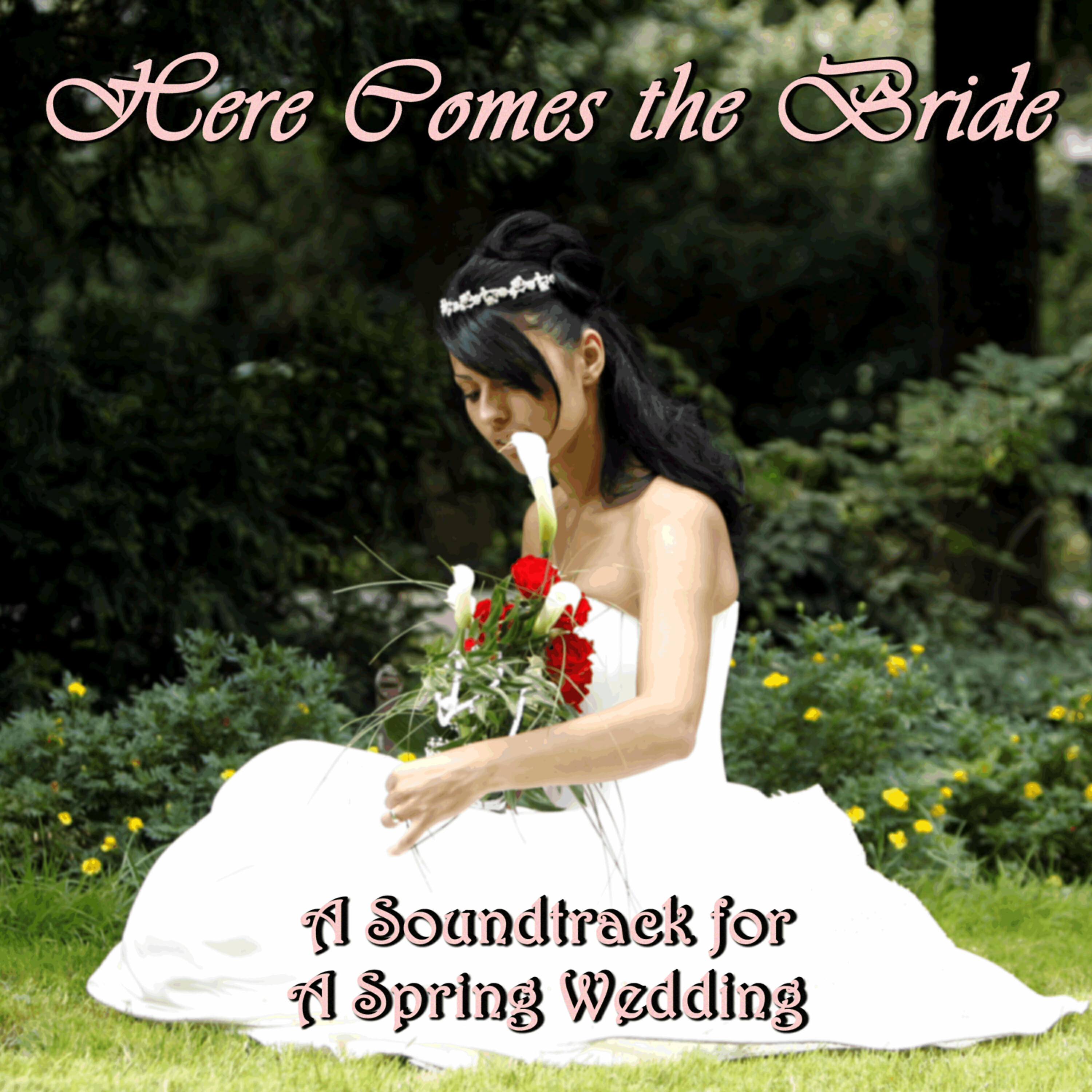 Classical Wedding Music Experts - Ave Maria