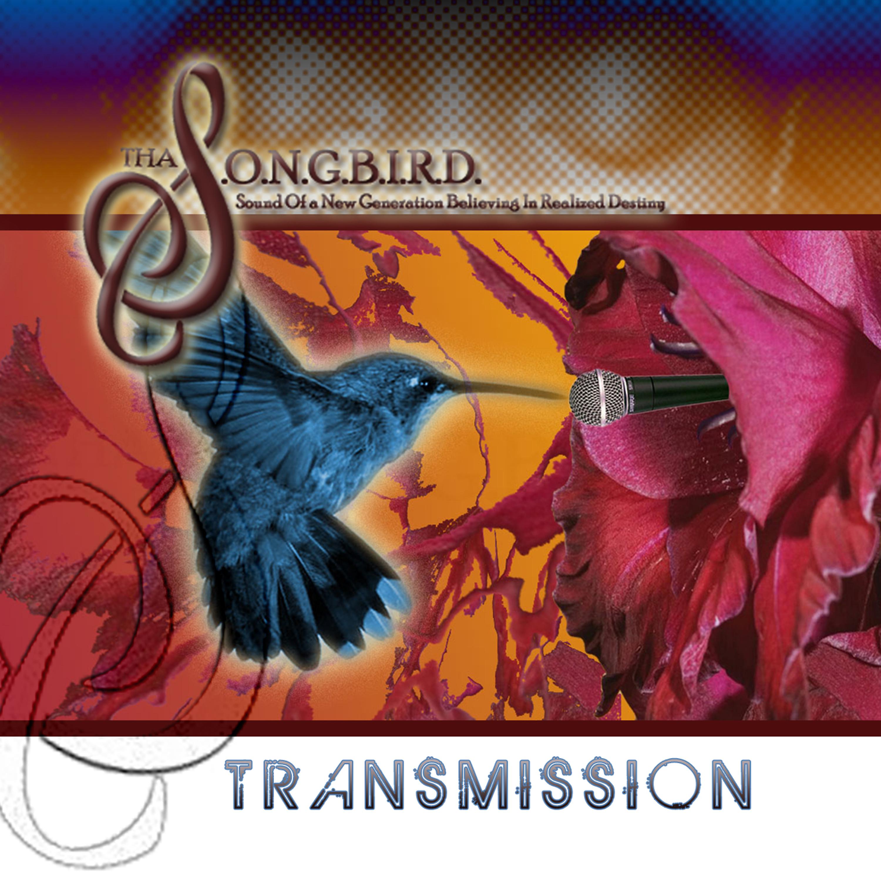 Постер альбома Transmission