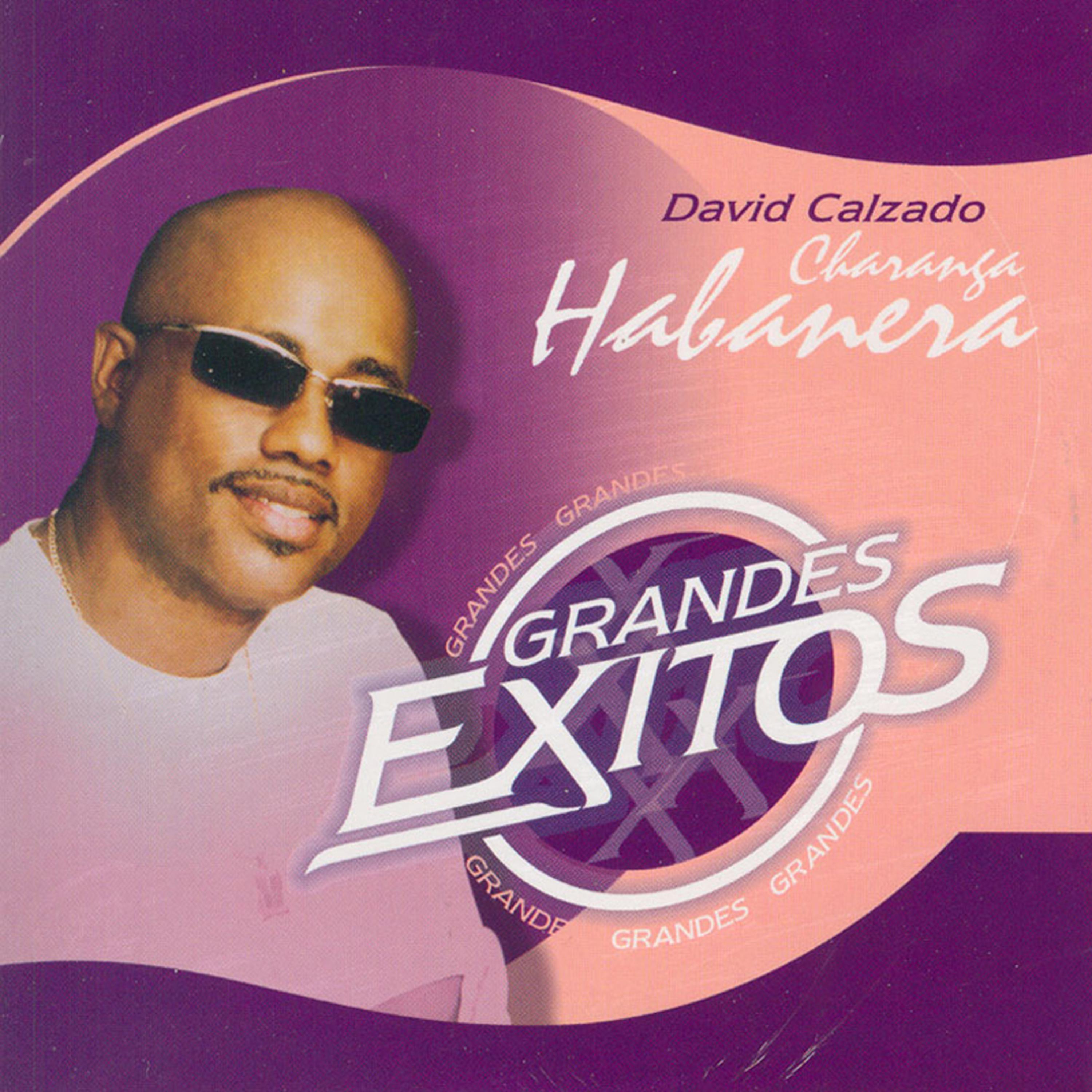 Постер альбома Grandes Exitos (Greatest Hits)