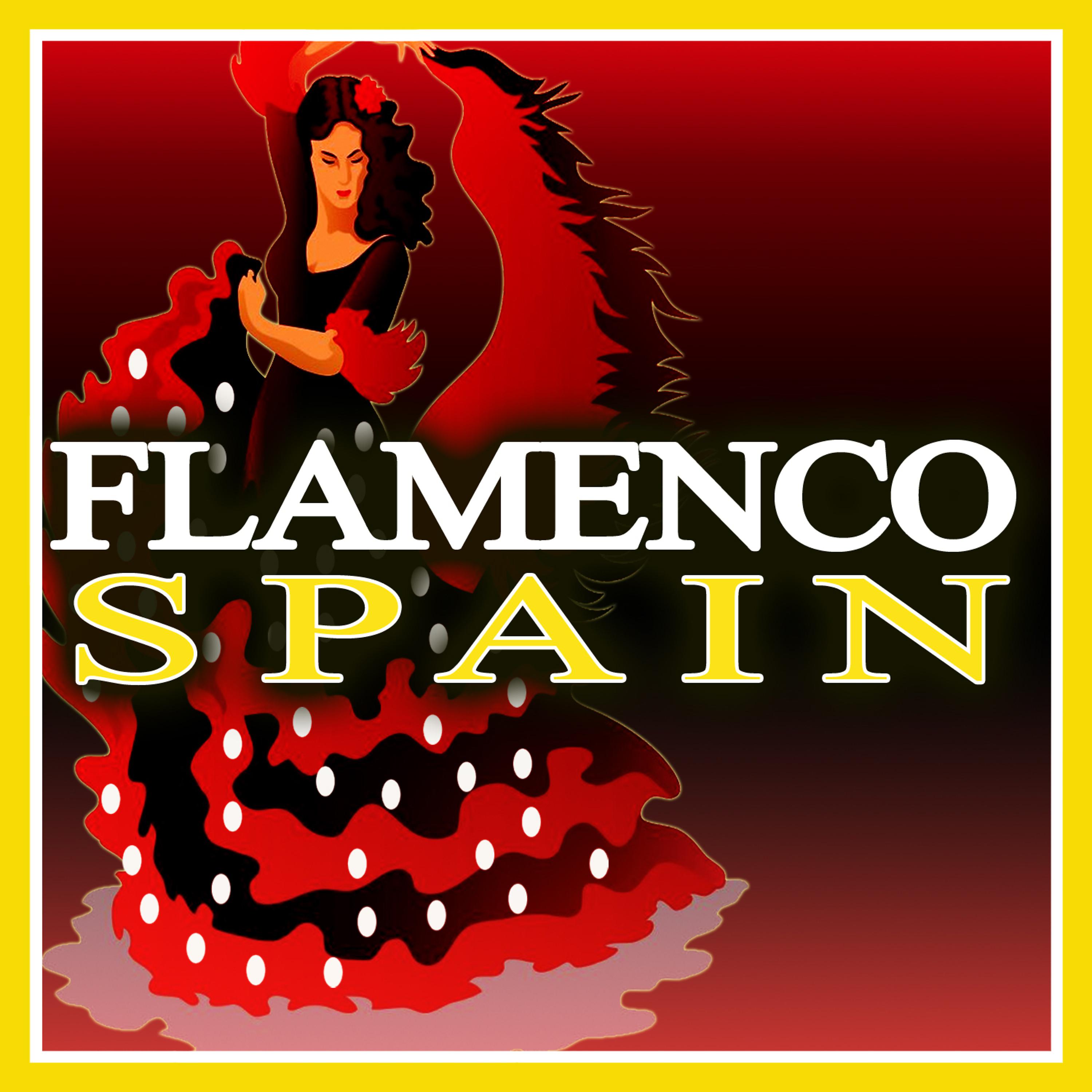Постер альбома Flamenco Spain