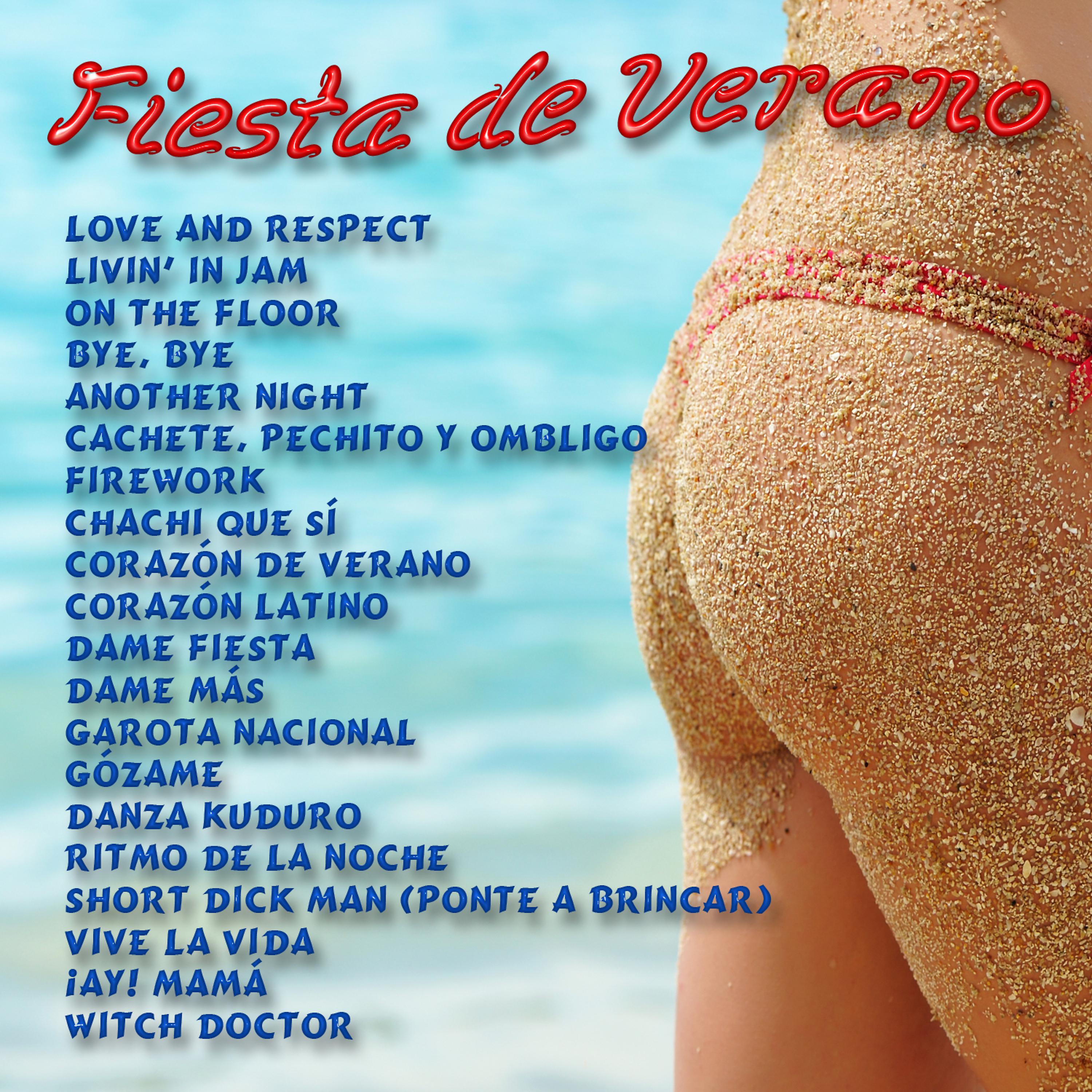 Постер альбома Fiesta de Verano