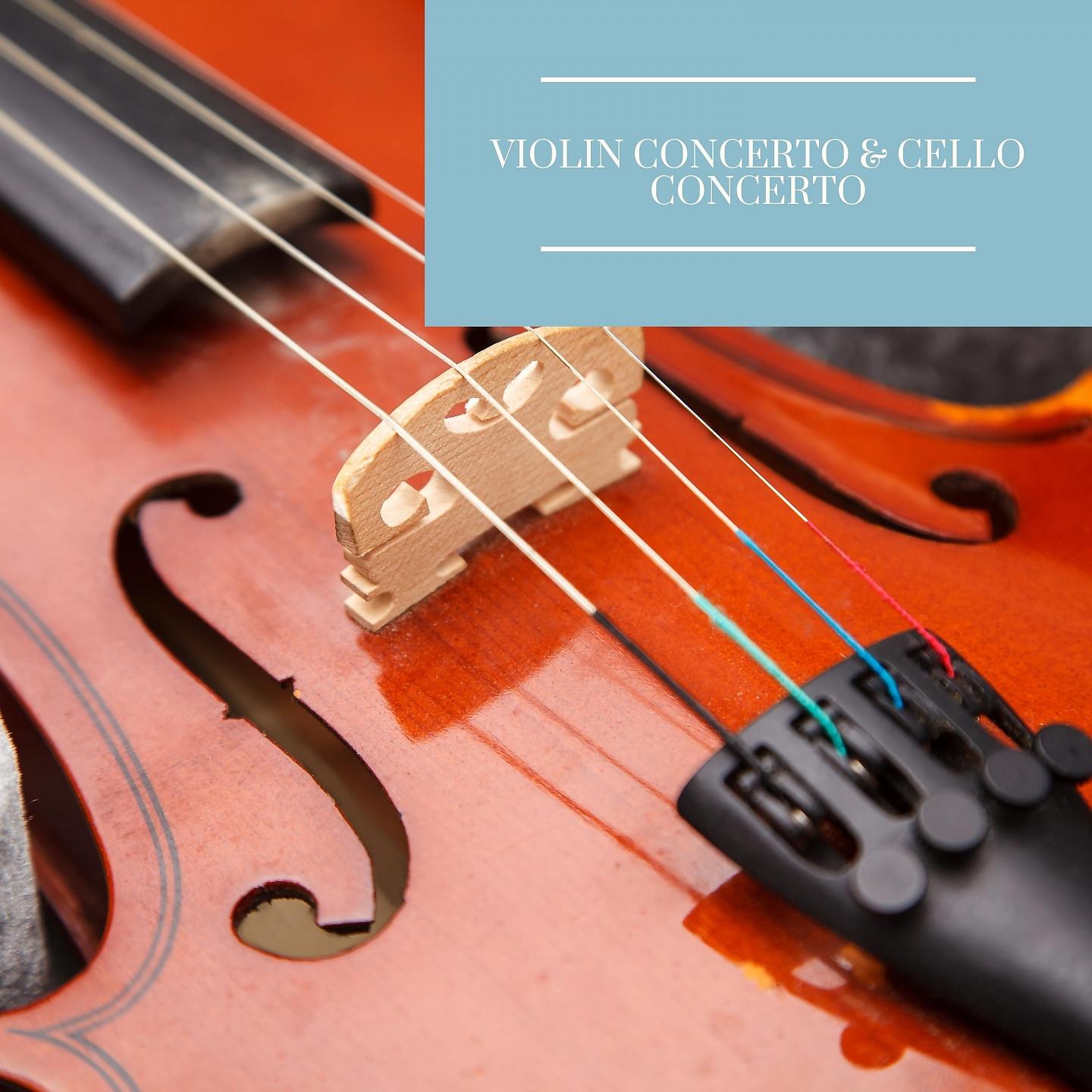 Постер альбома Violin Concerto & Cello Concerto