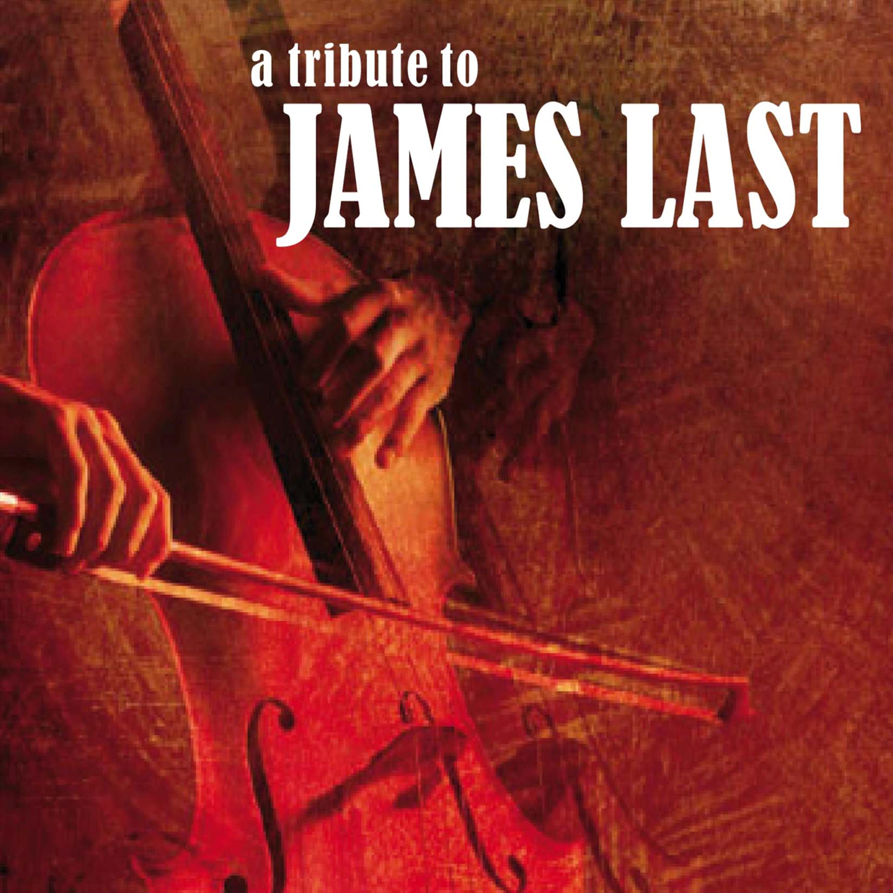 Постер альбома A Tribute To James Last Part 2