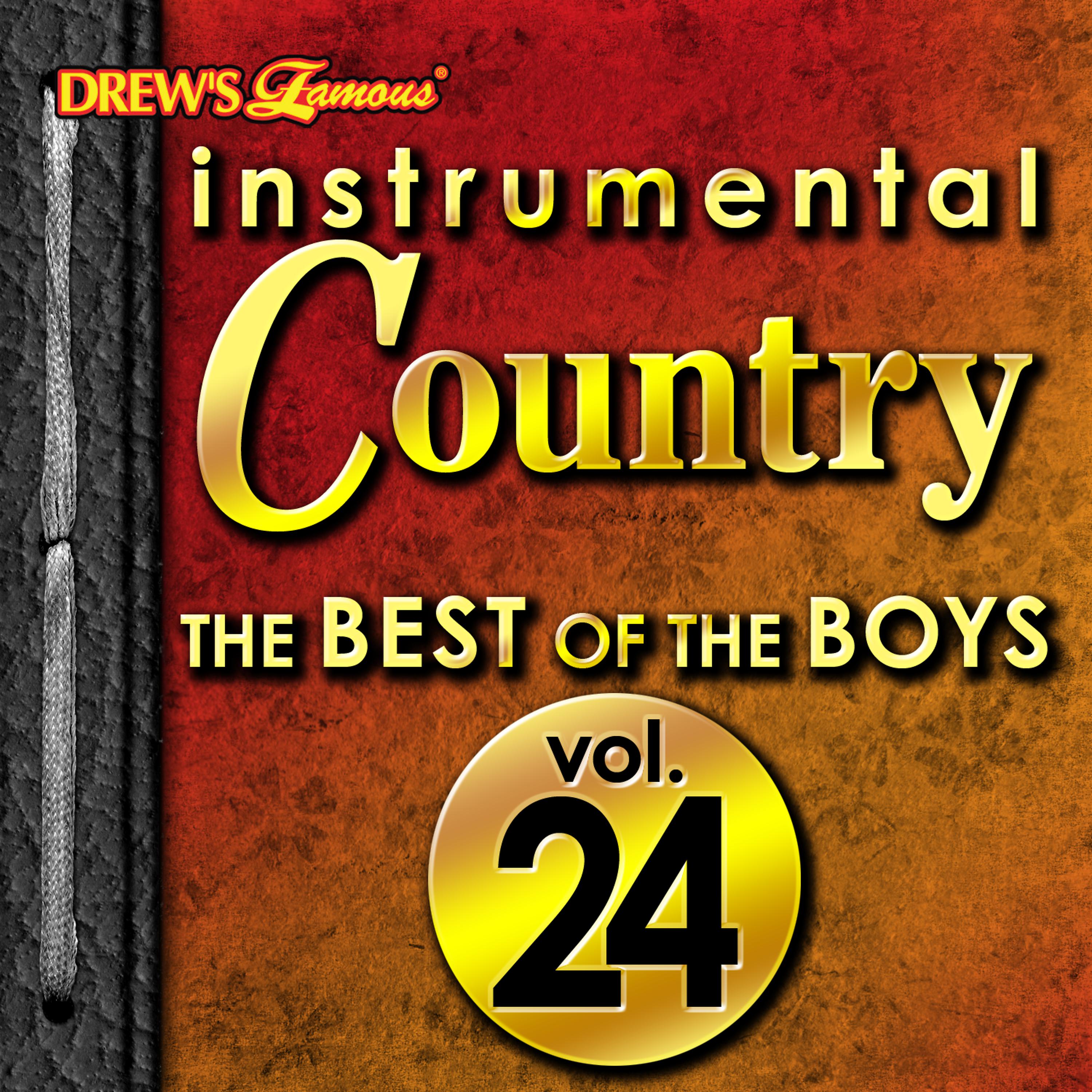 Постер альбома Instrumental Country: The Best of the Boys, Vol. 24