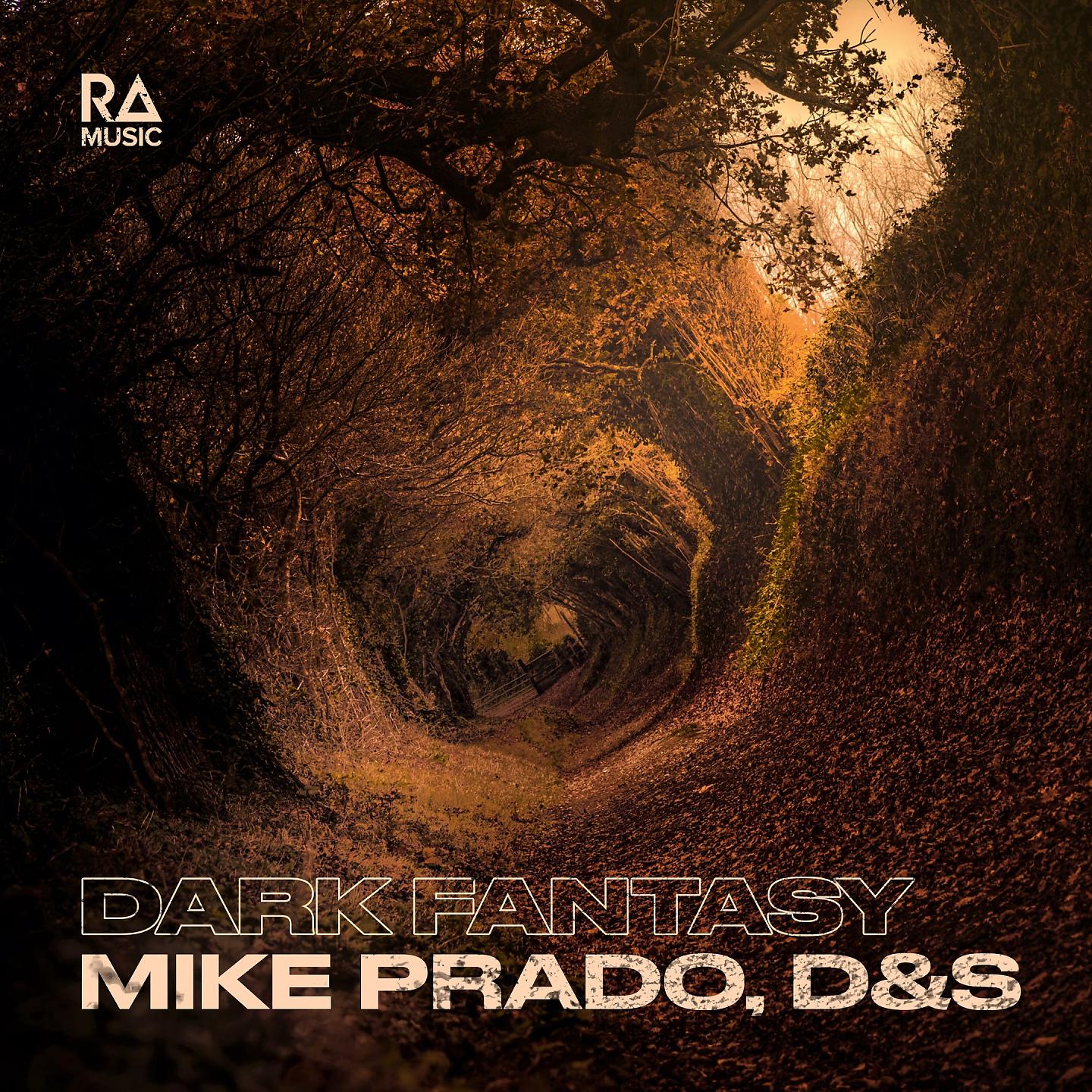 Постер альбома Dark Fantasy