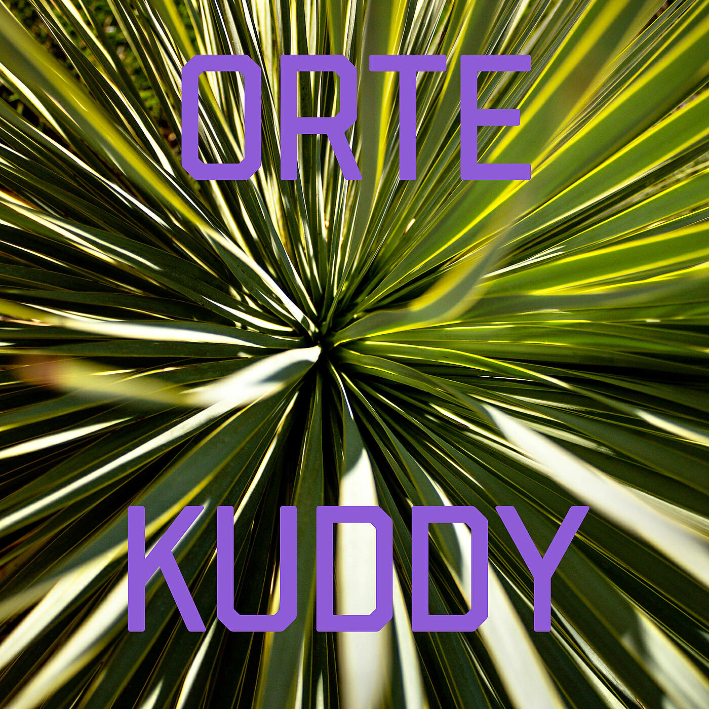 Kuddy - München