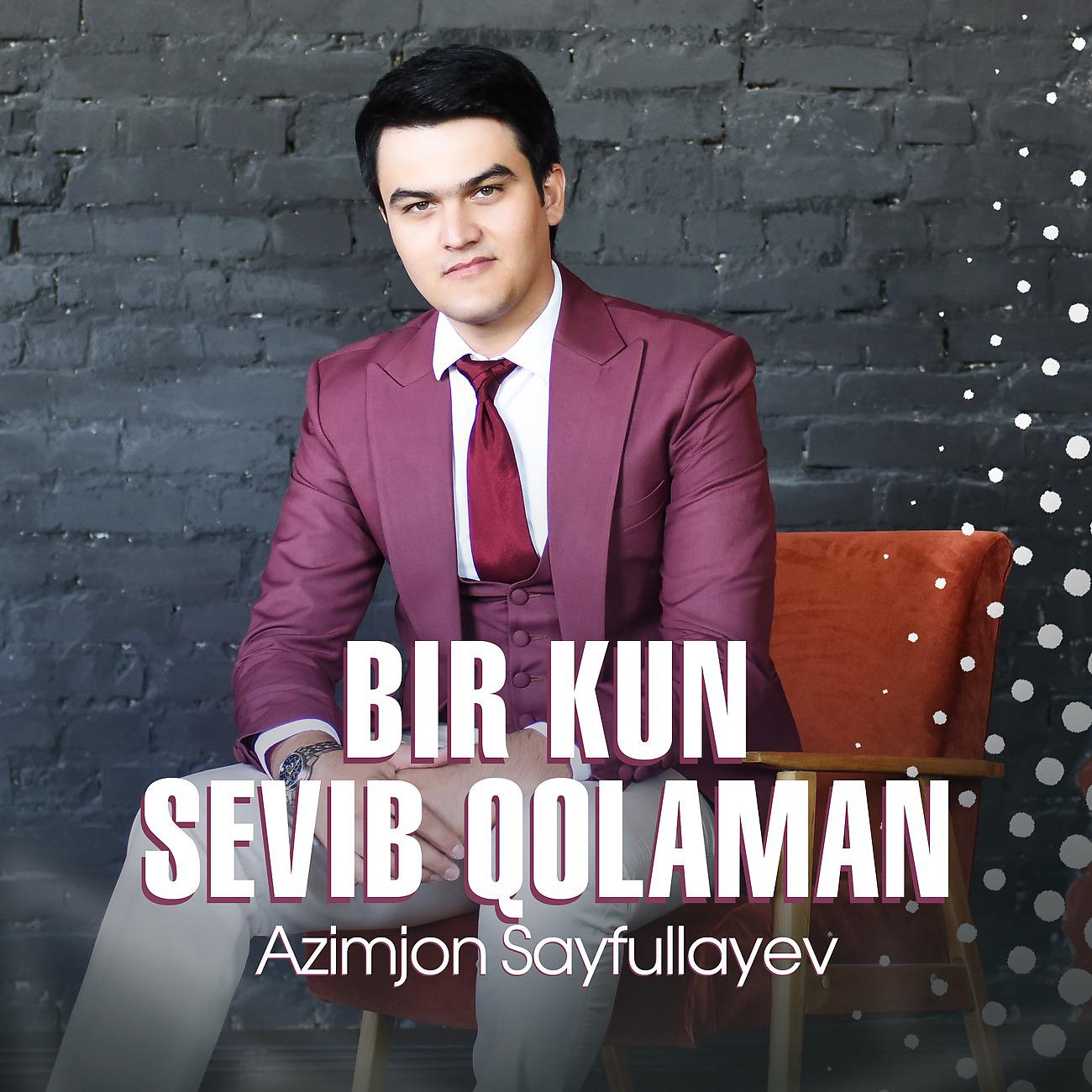 Постер альбома Bir kun sevib qolaman