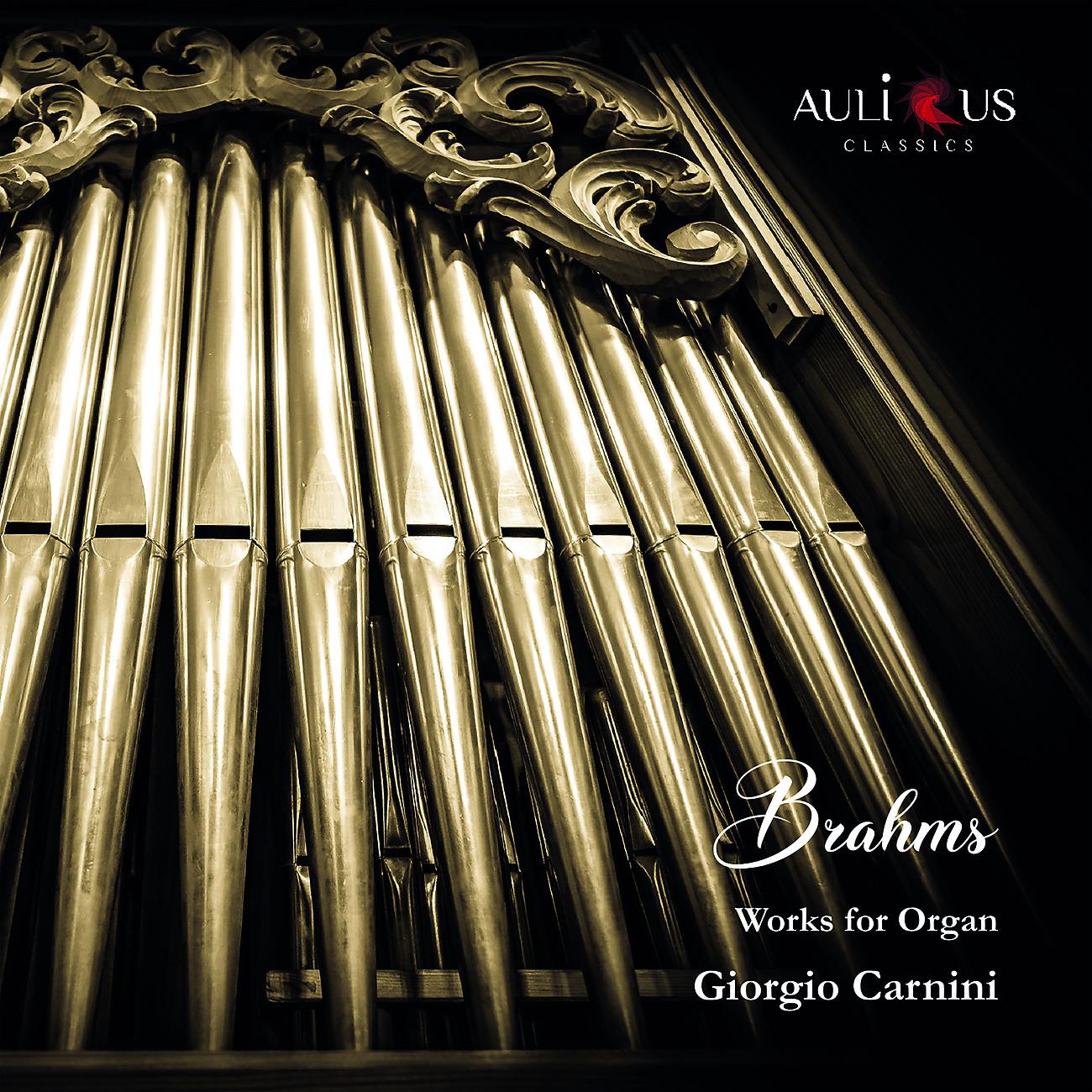 Постер альбома Brahms: Works For Organ