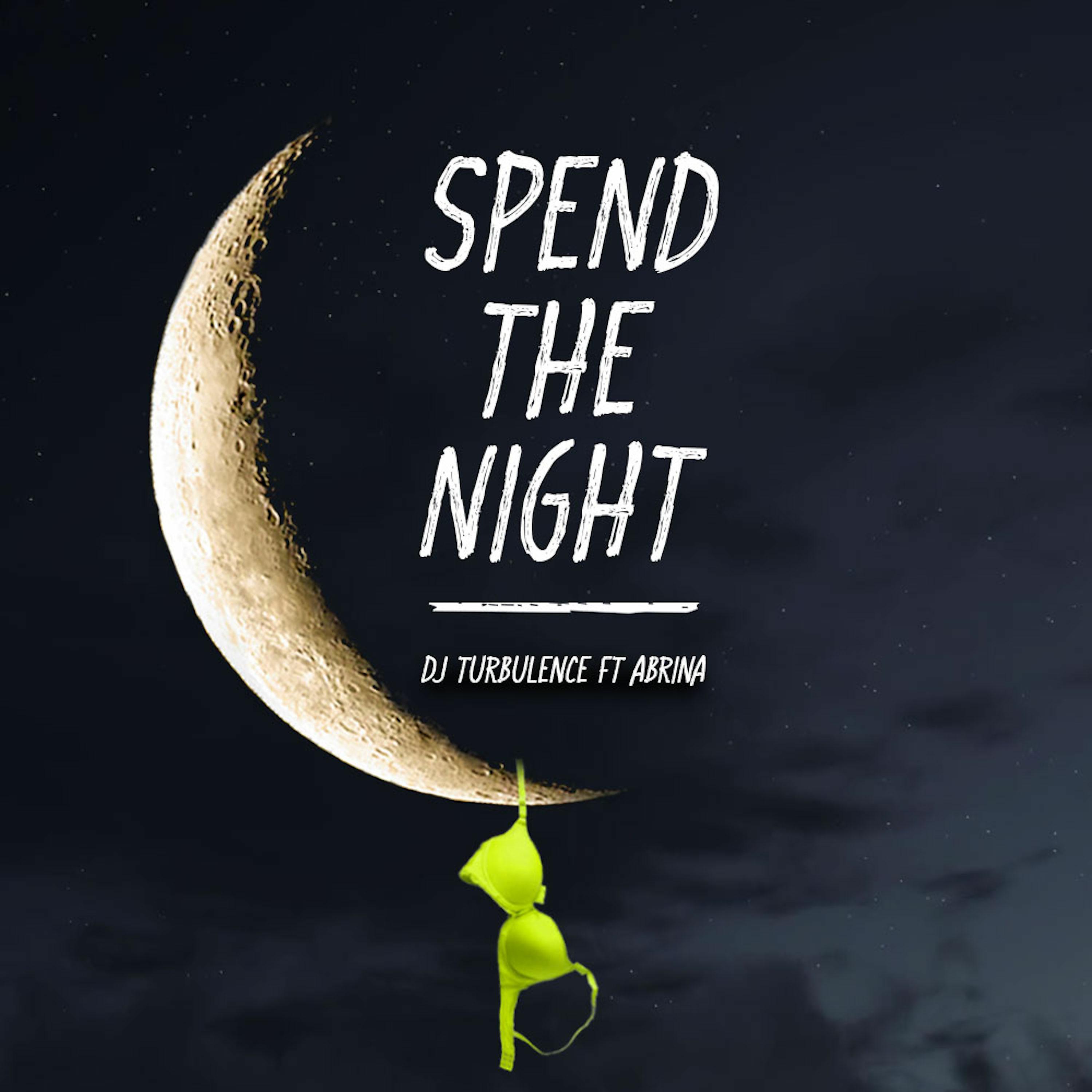 Постер альбома Spend The Night (feat. Abrina)