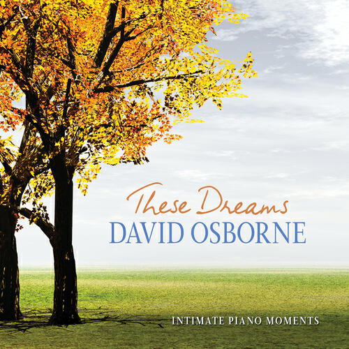 David Osborne - Never Gonna Let You Go