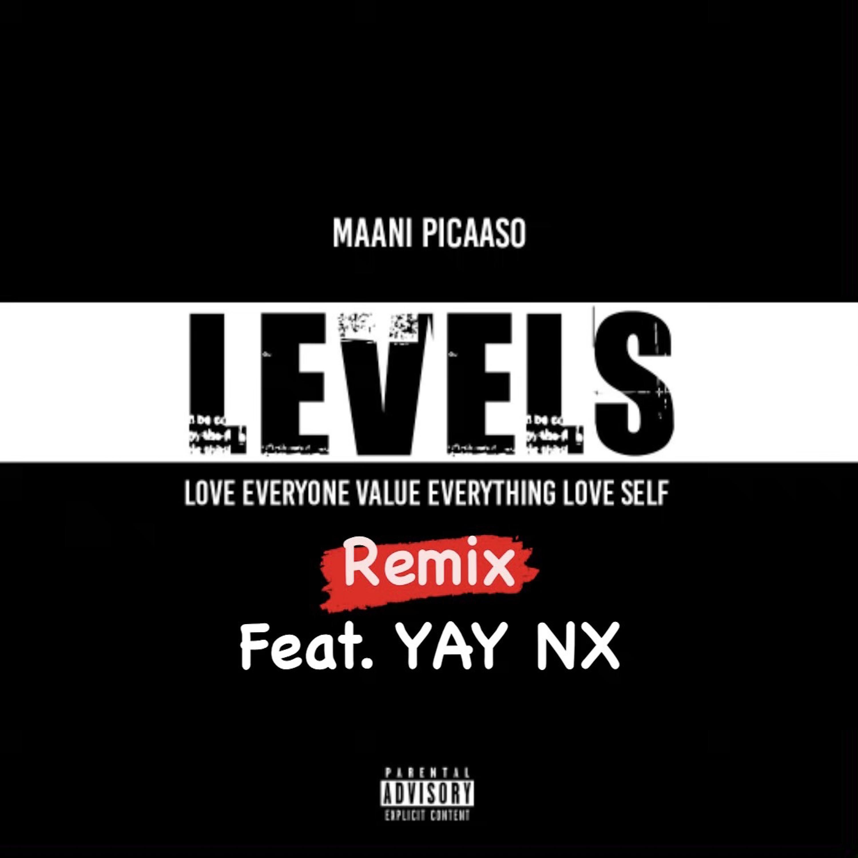 Постер альбома LEVELS (YAY NX Remix)
