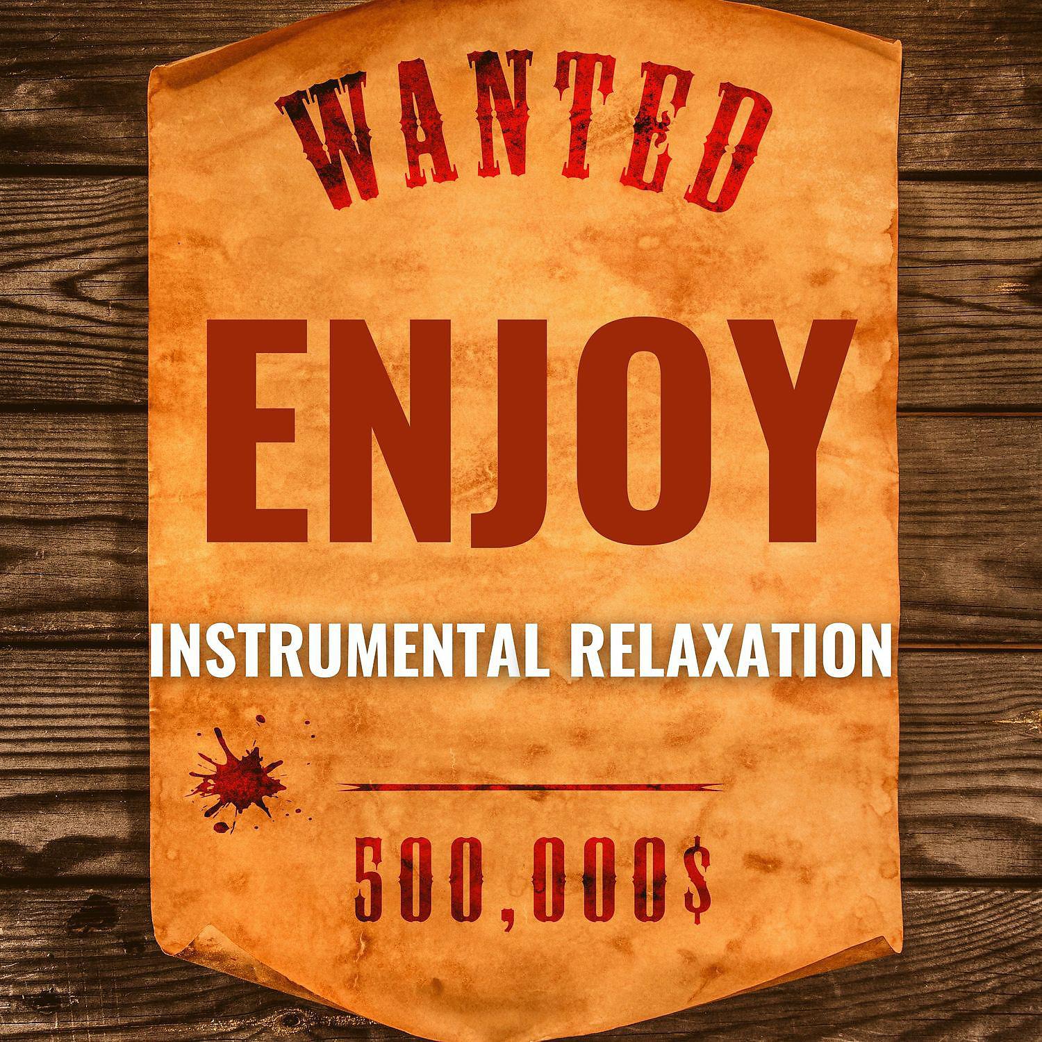 Постер альбома Enjoy Instrumental Relaxation