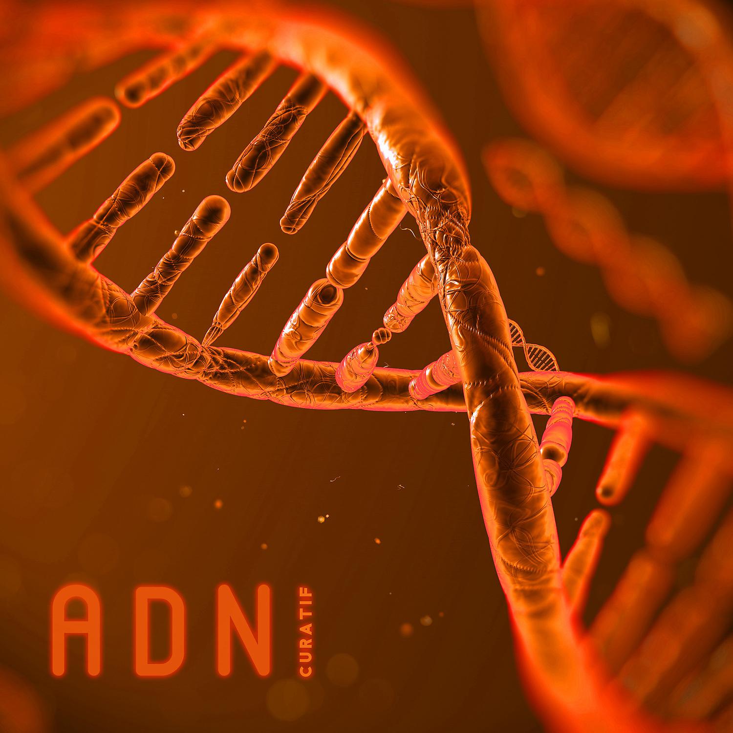 Постер альбома ADN curatif