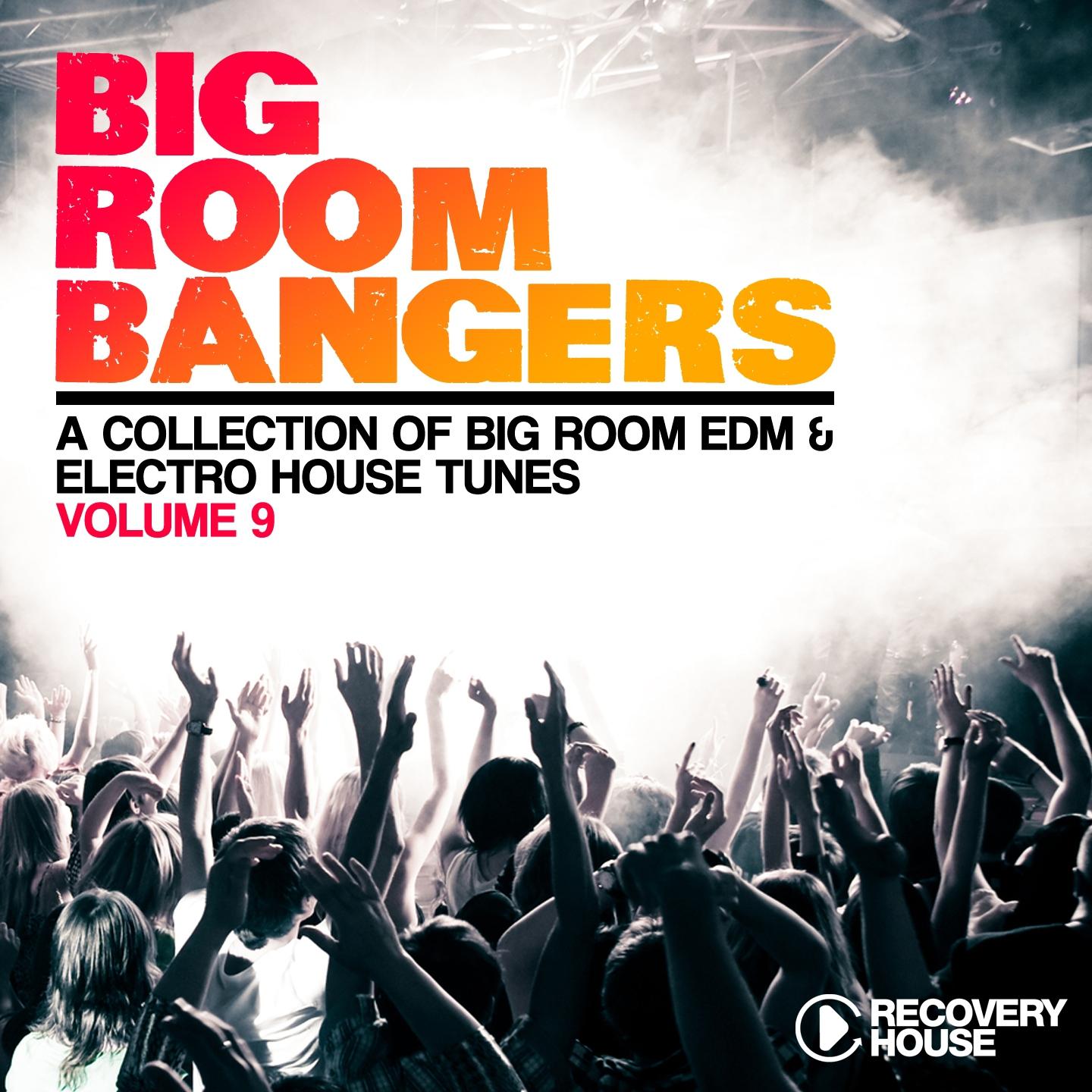 Постер альбома Big Room Bangers, Vol. 9
