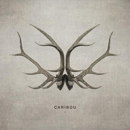 Amy Capilari - Caribou (Mario Basanov Remix)
