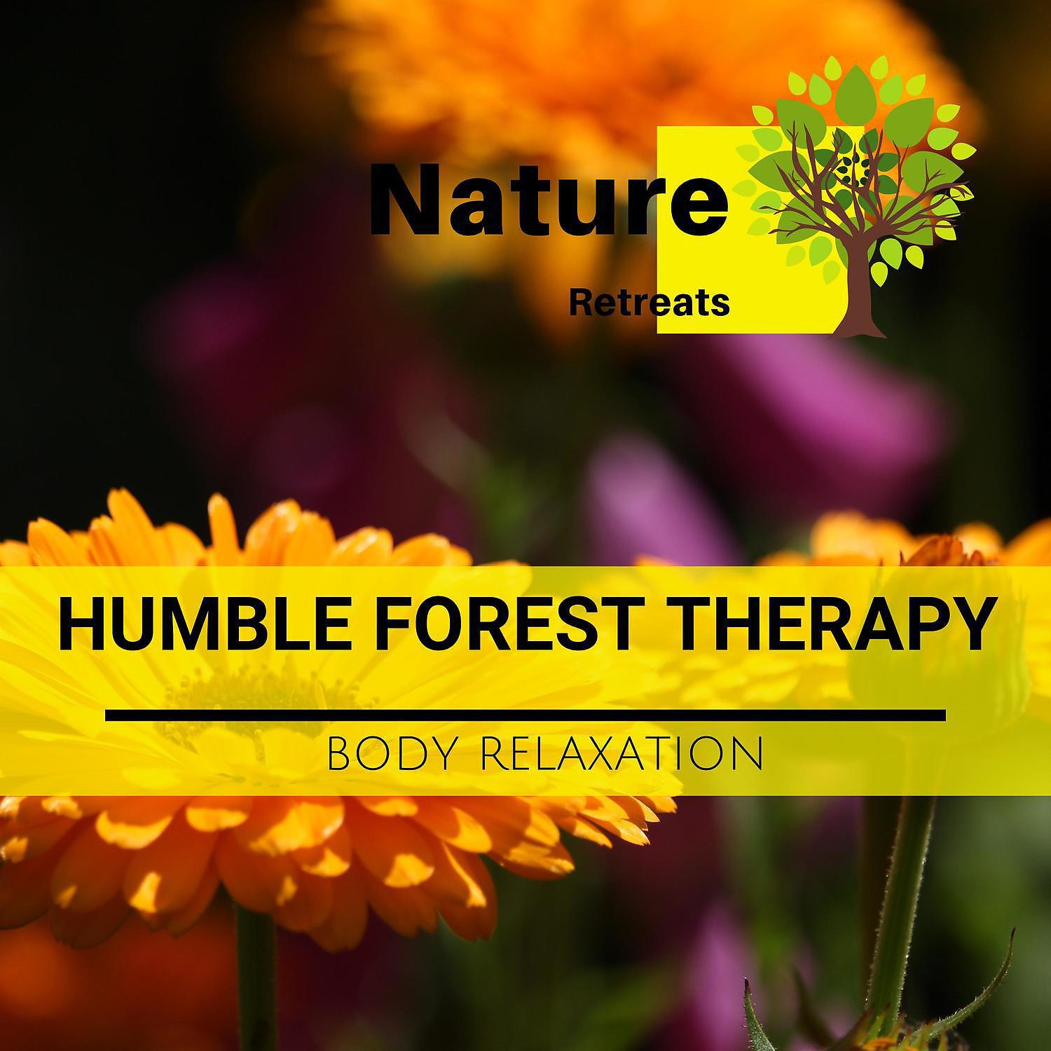 Постер альбома Humble Forest Therapy - Body Relaxation