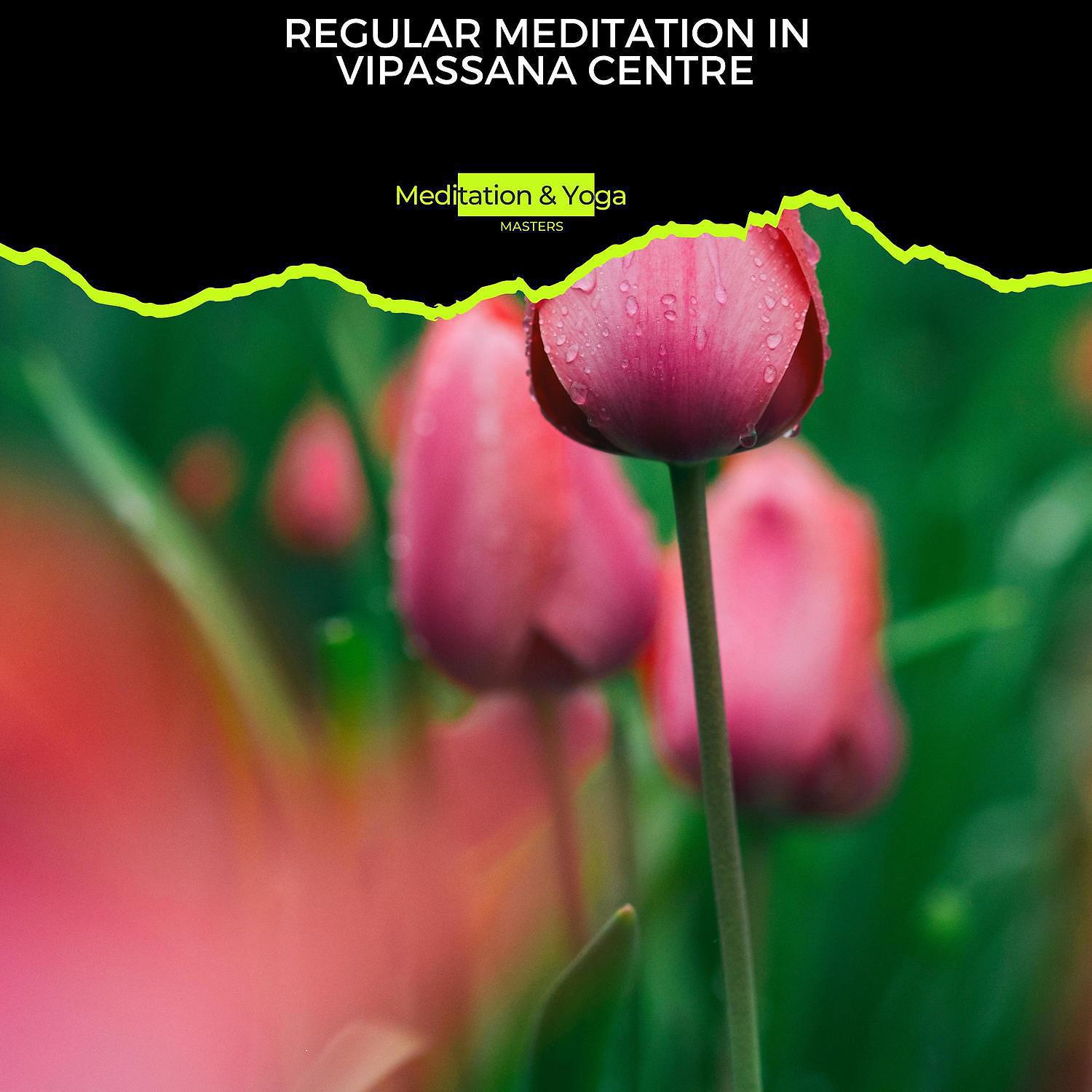 Постер альбома Regular Meditation in Vipassana Centre