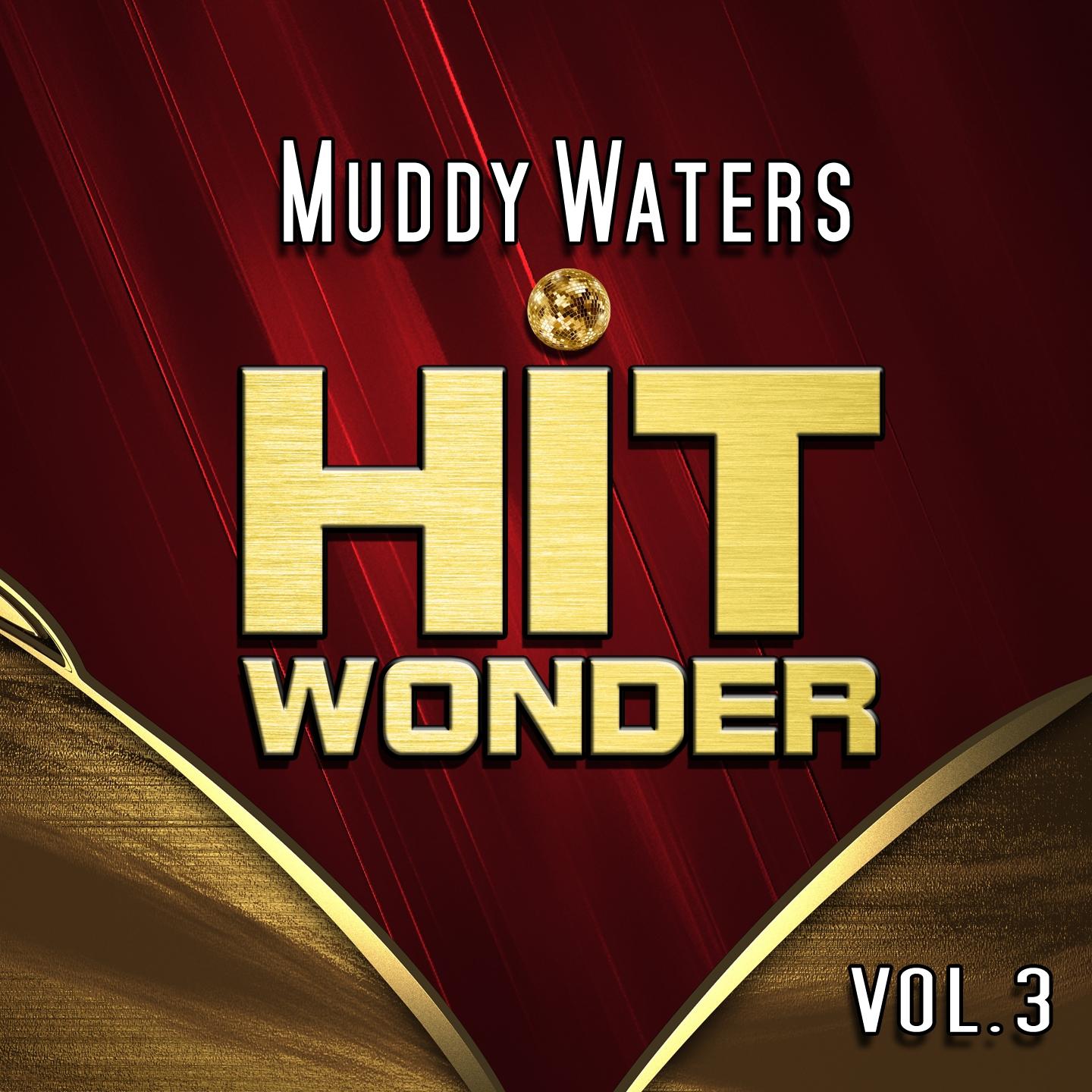 Постер альбома Hit Wonder: Muddy Waters, Vol. 3