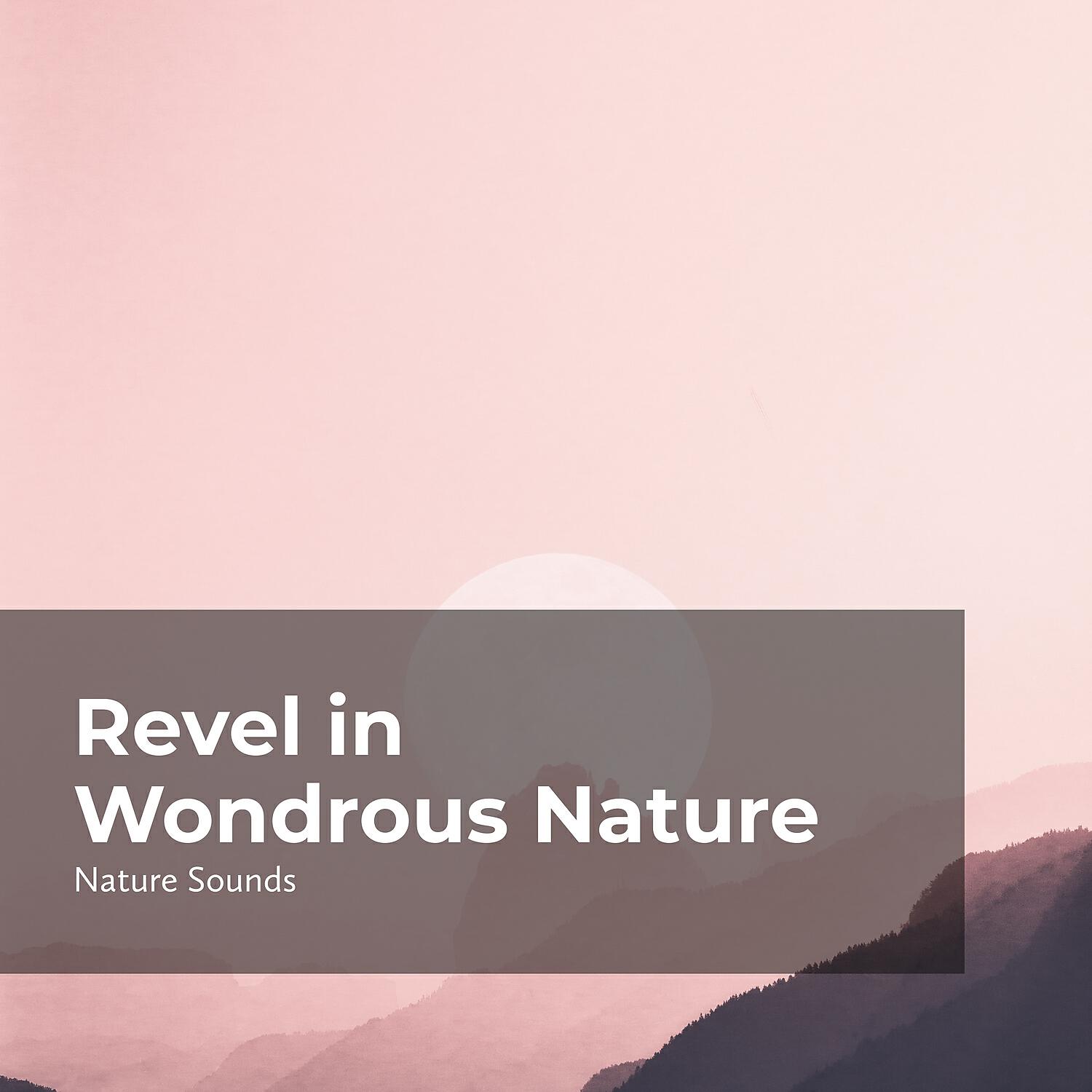 Nature Sounds - Bridge Above the River