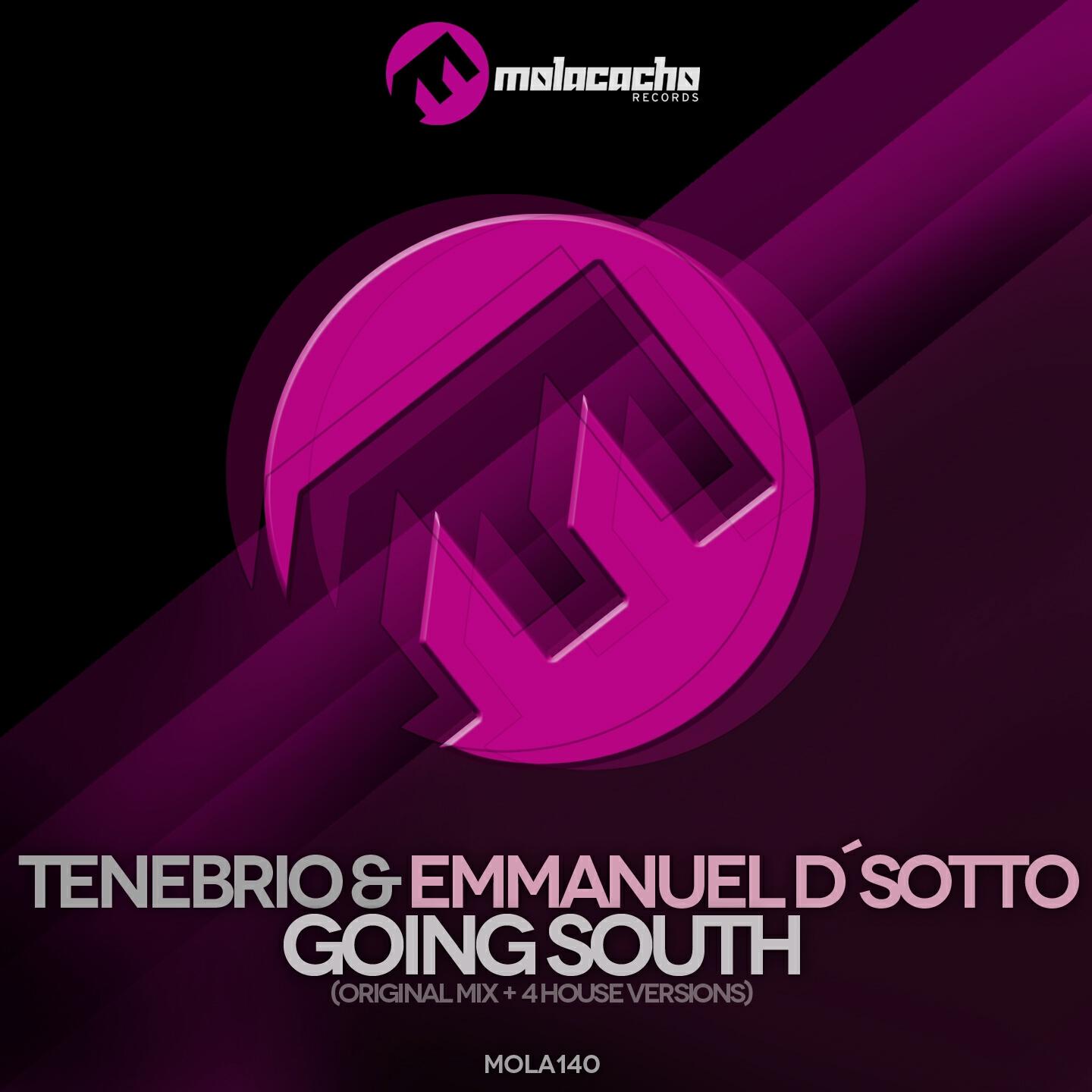 Tenebrio - Going South (Ricardo Trueba Remix)