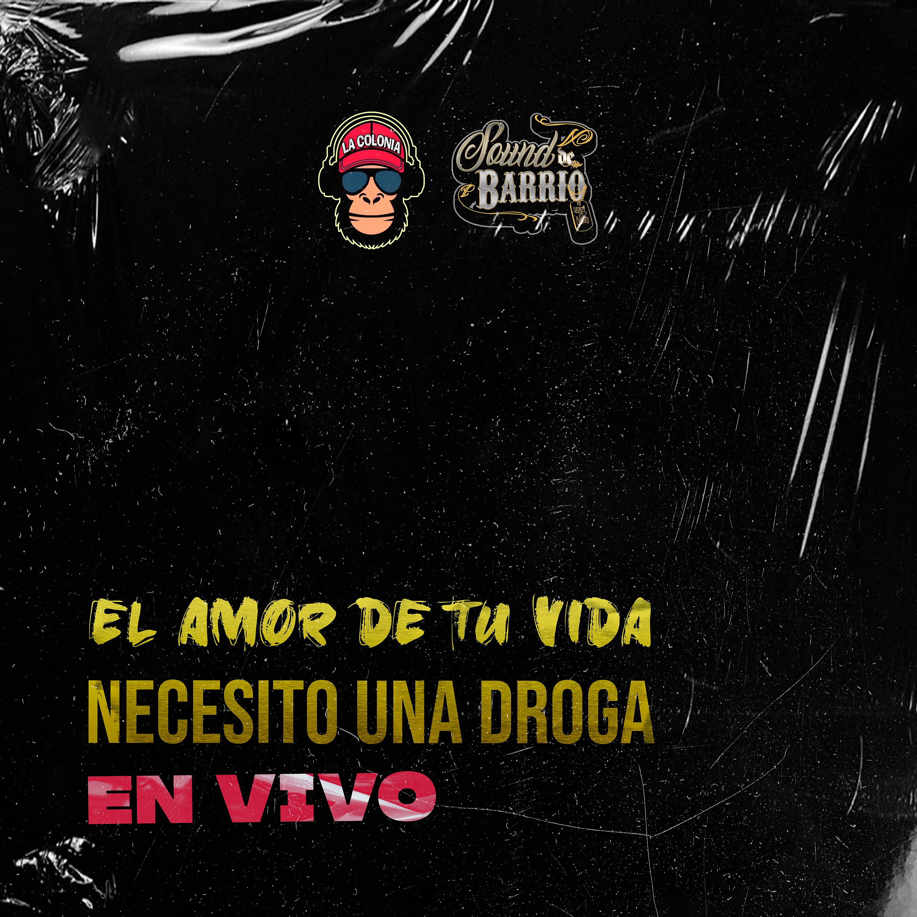 Постер альбома El Amor de Tu Vida / Necesito una Droga (En Vivo)