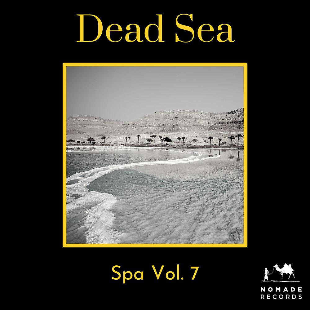 Постер альбома Dead Sea: Spa Music, Vol. 7