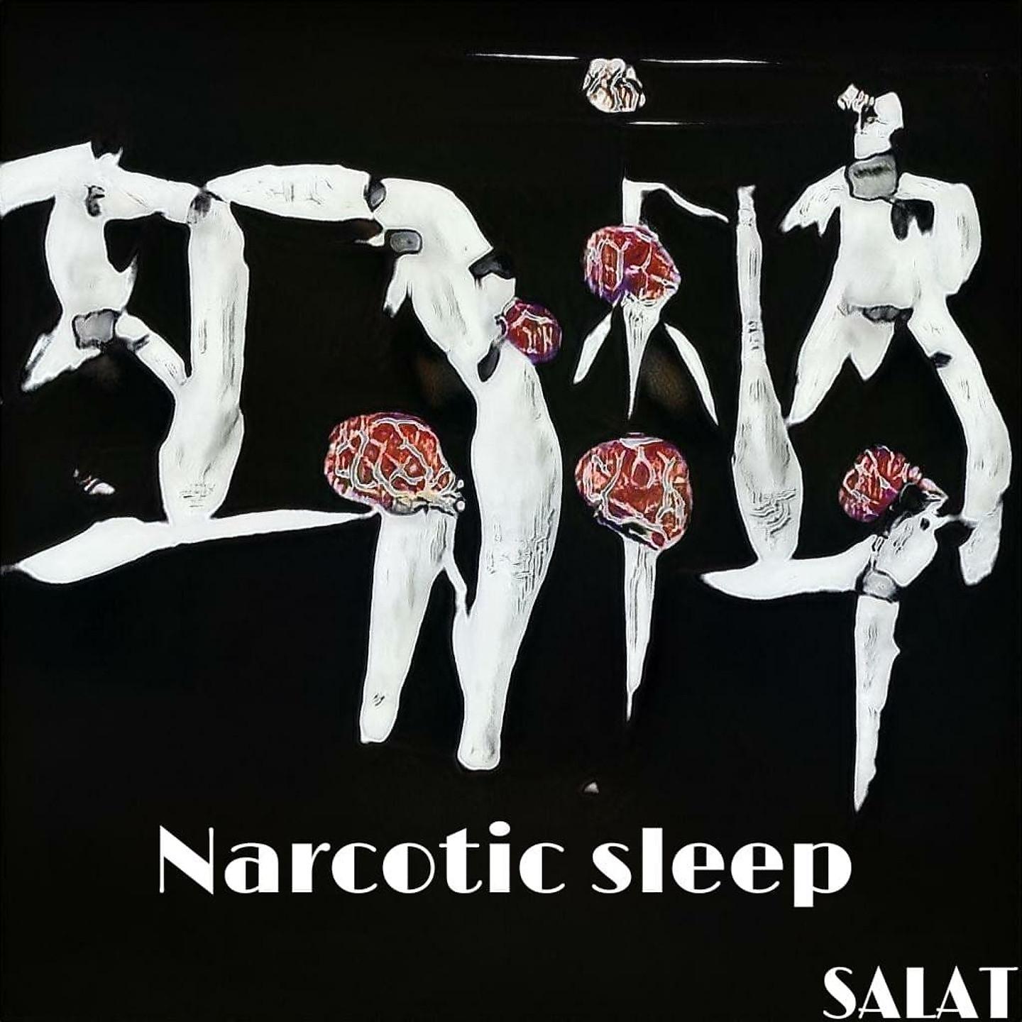 Постер альбома Narcotic Sleep
