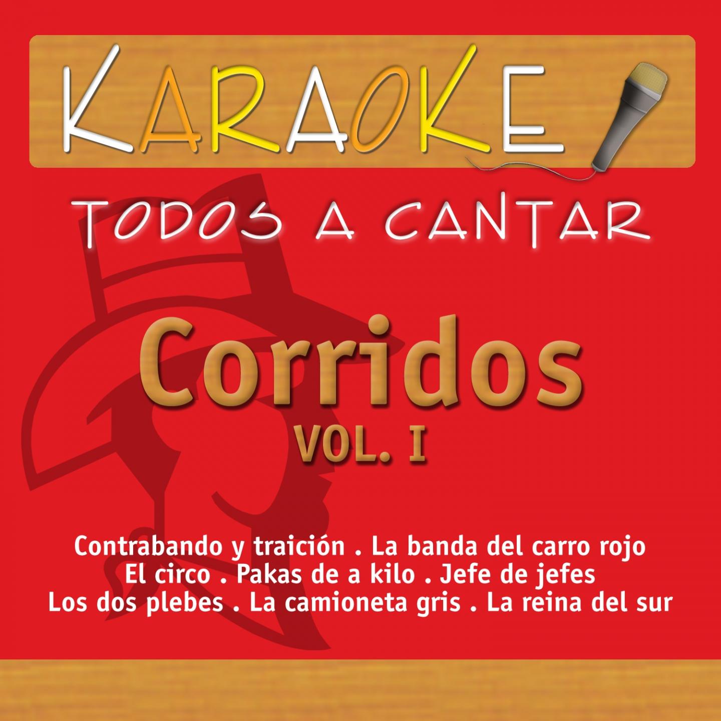 Постер альбома Todos a Cantar Karaoke: Corridos, Vol. 1