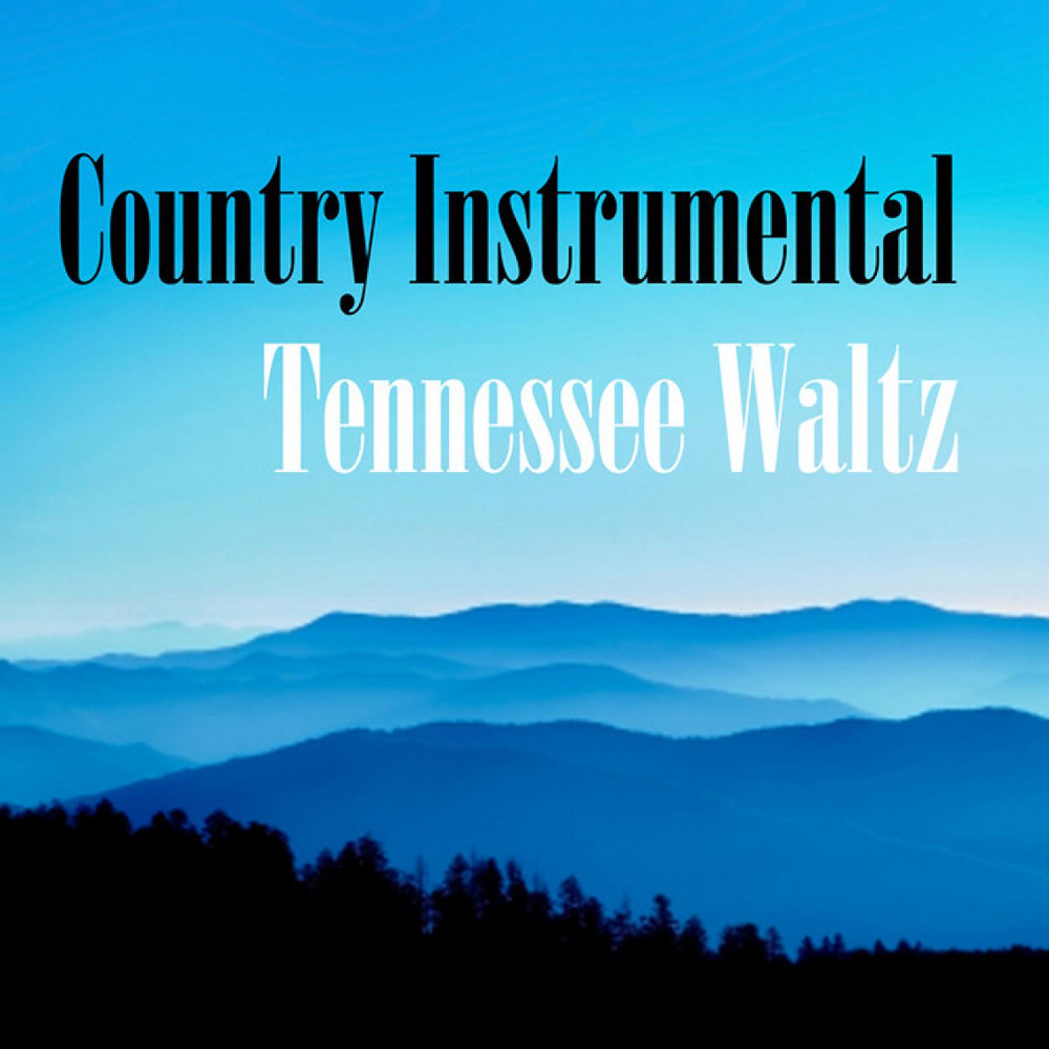 Постер альбома Country Instrumental: Tennessee Waltz