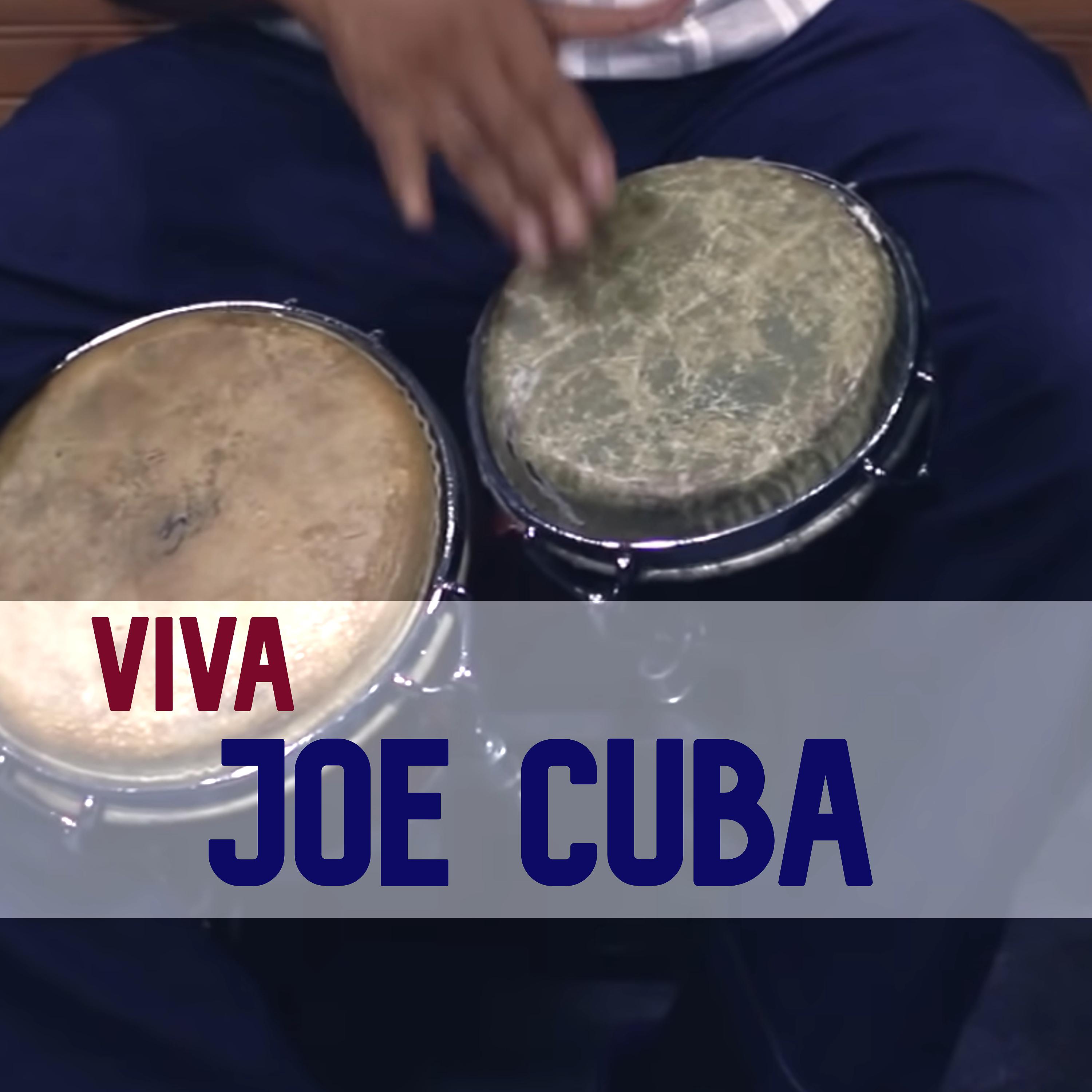 Постер альбома Viva Joe Cuba