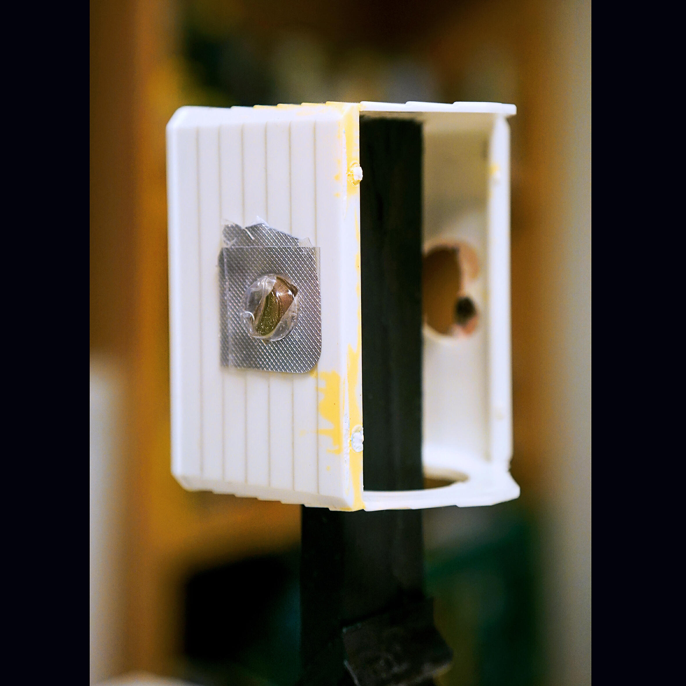 Whistler - 6G Fever