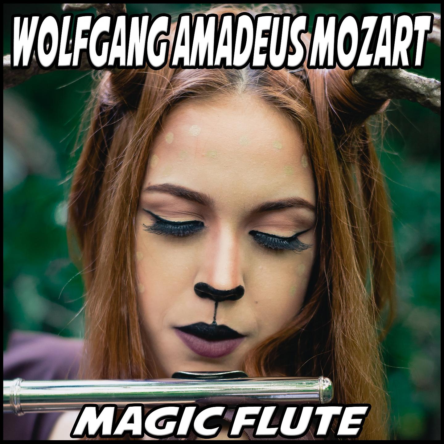 Постер альбома Magic Flute