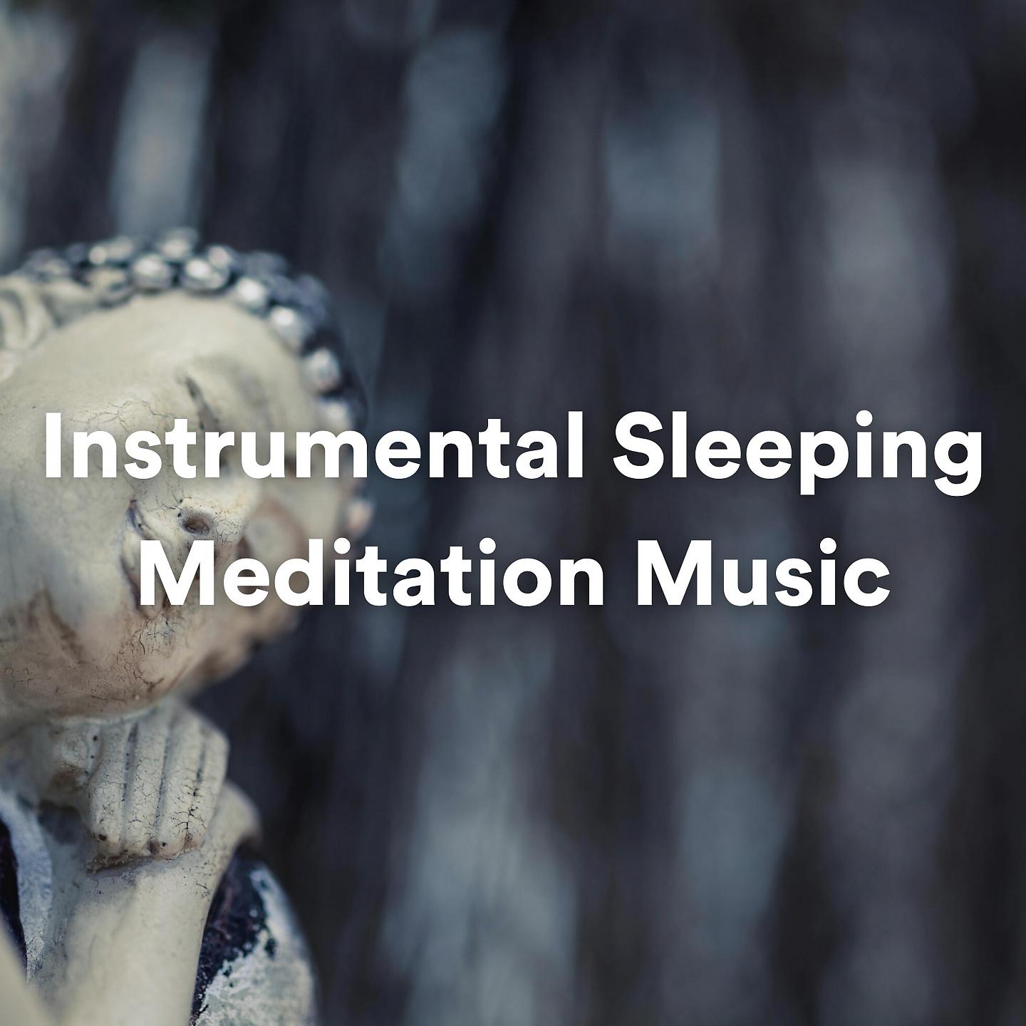 Постер альбома Instrumental Sleeping Meditation Music