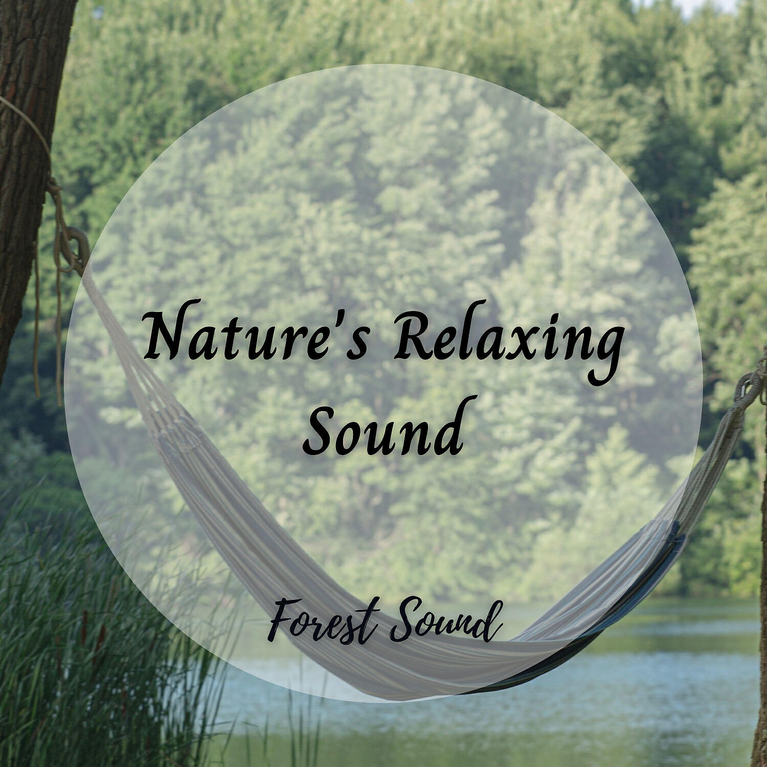 Meditation Music - Crickets Moving Through Leafs