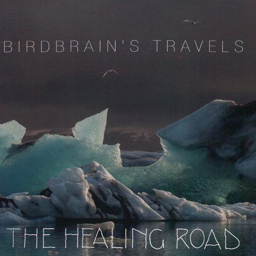 Постер альбома Birdbrain's Travels