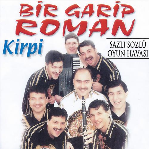 Постер альбома Bir Garip Roman Kirpi