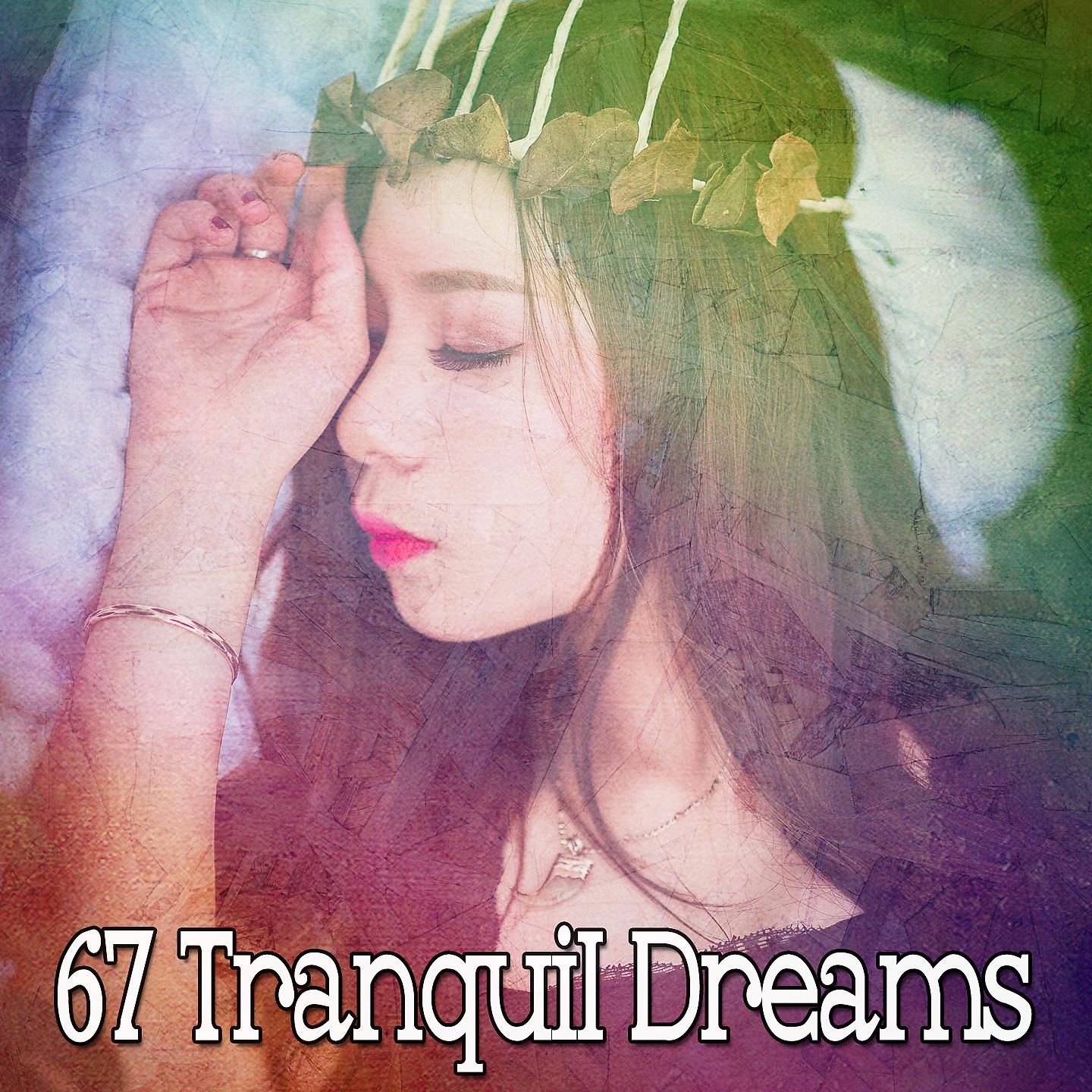 Постер альбома 67 безмятежных снов