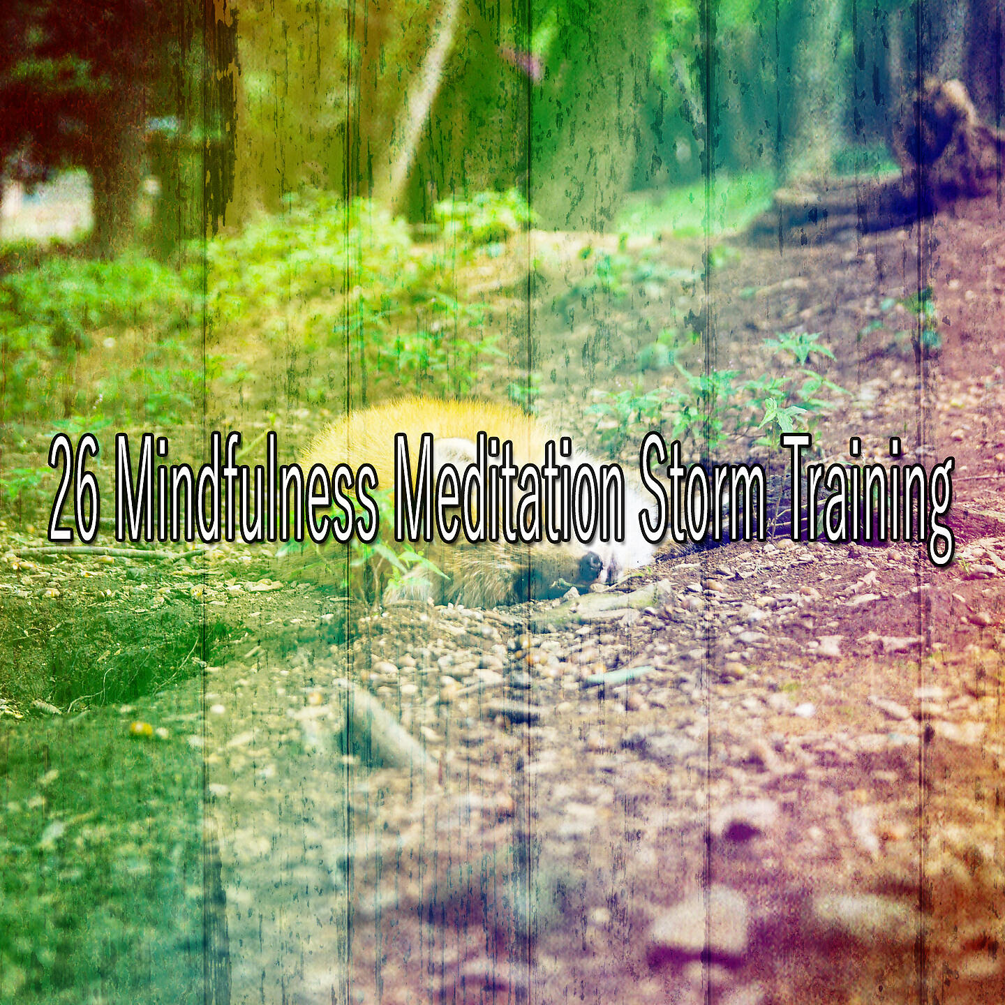 Альбом 26 Штормовая тренировка медитации осознанности исполнителя Молния, гром и гроза дождя