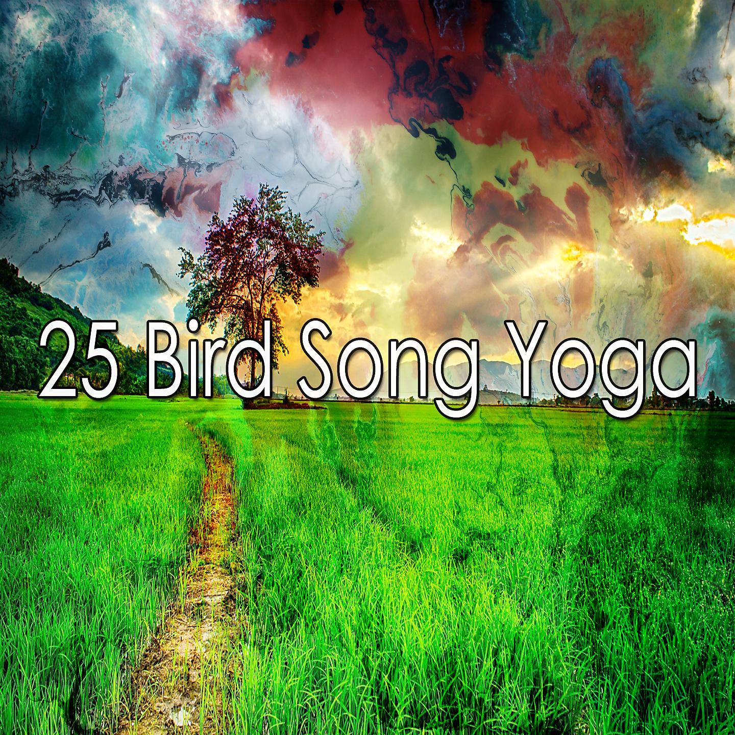 Постер альбома 25 Птичьи песни Йога