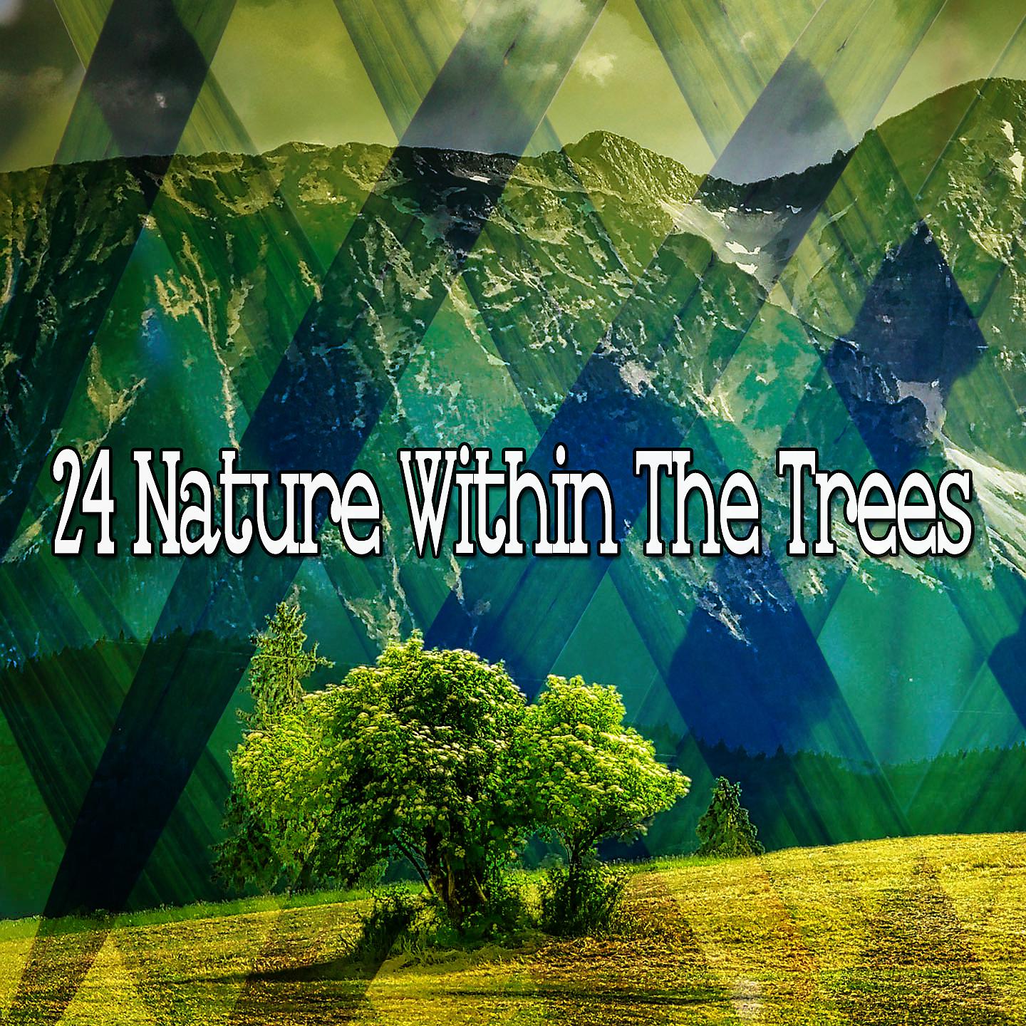 Постер альбома 24 Природа в деревьях