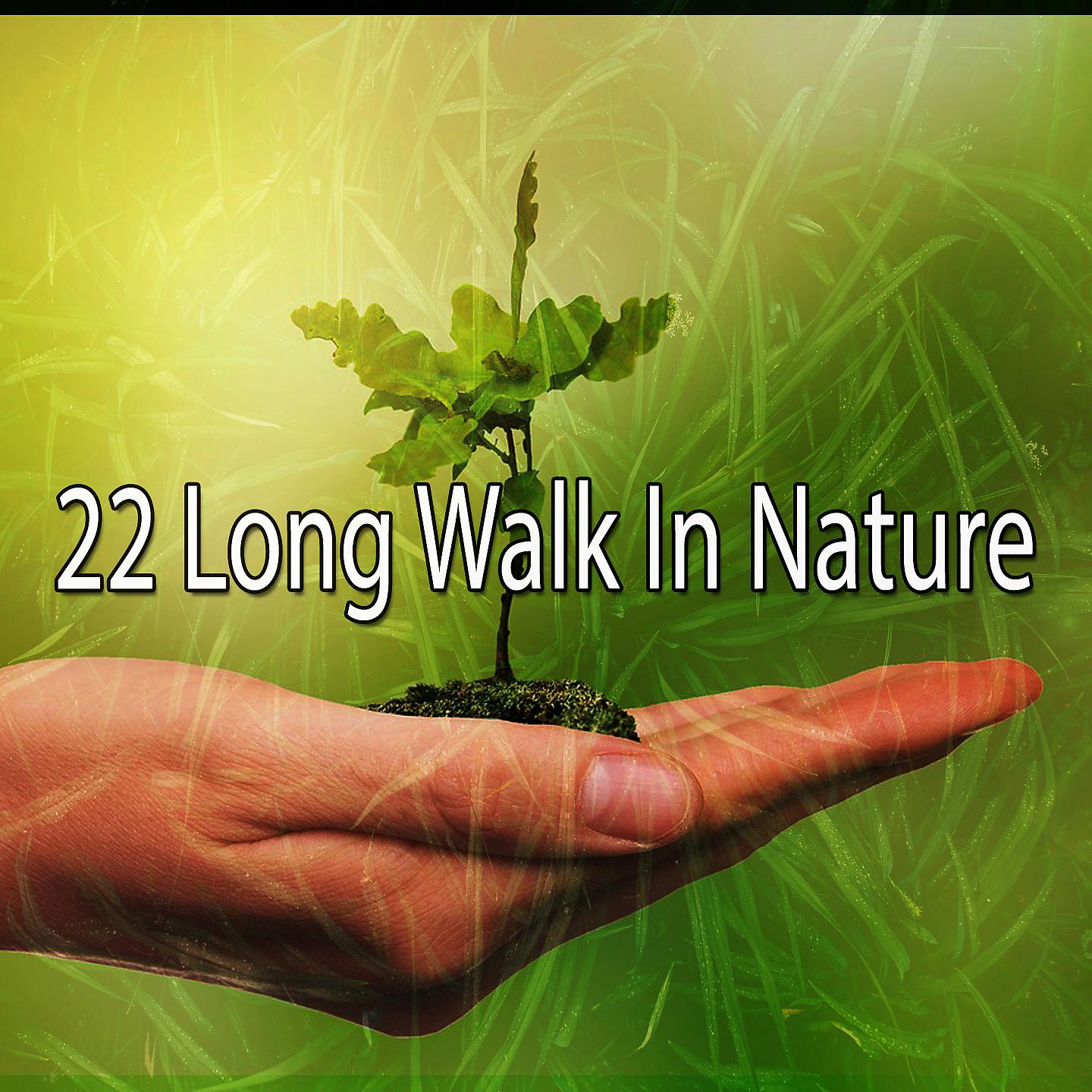 Постер альбома 22 Долгая прогулка на природе
