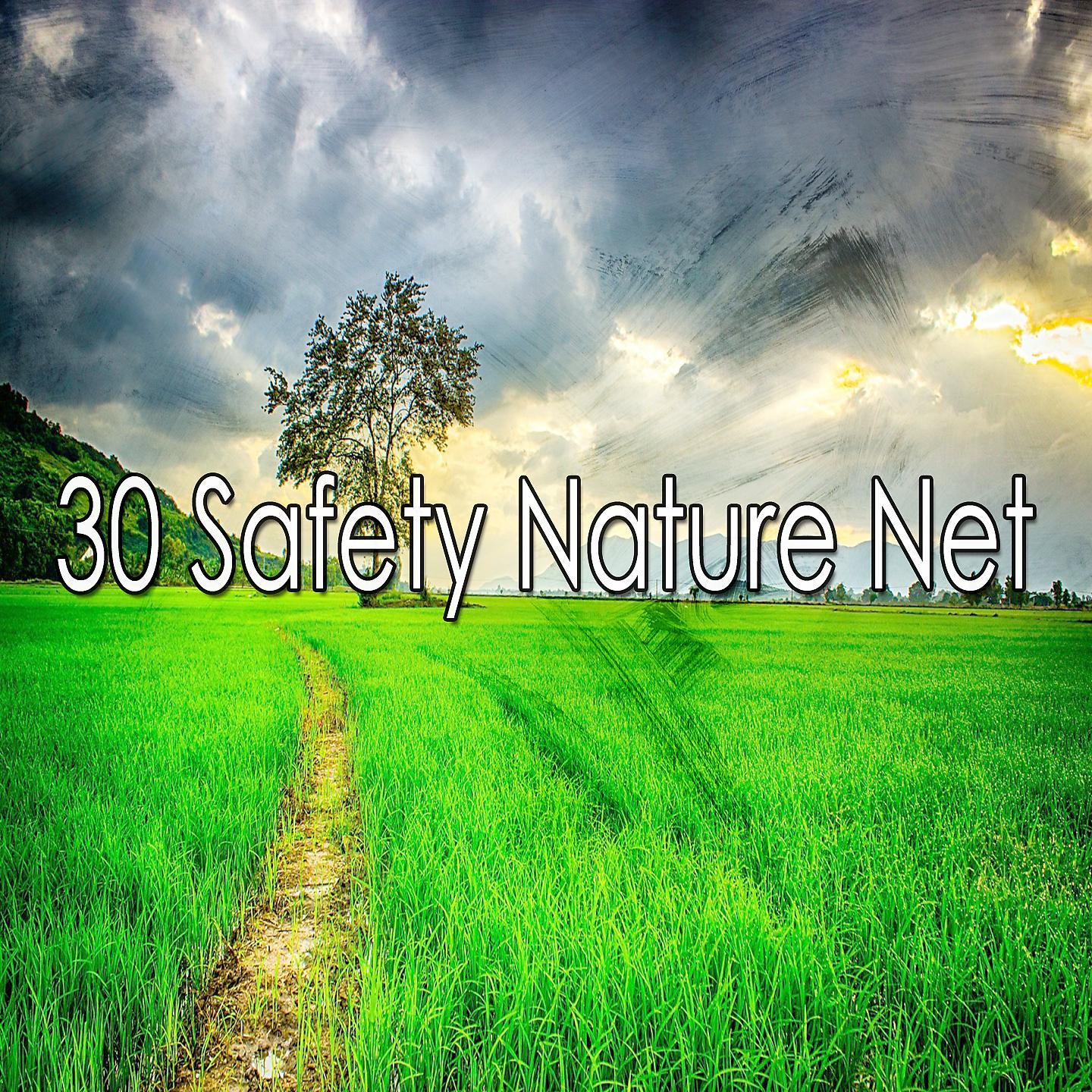 Постер альбома 30 Безопасность Nature Net
