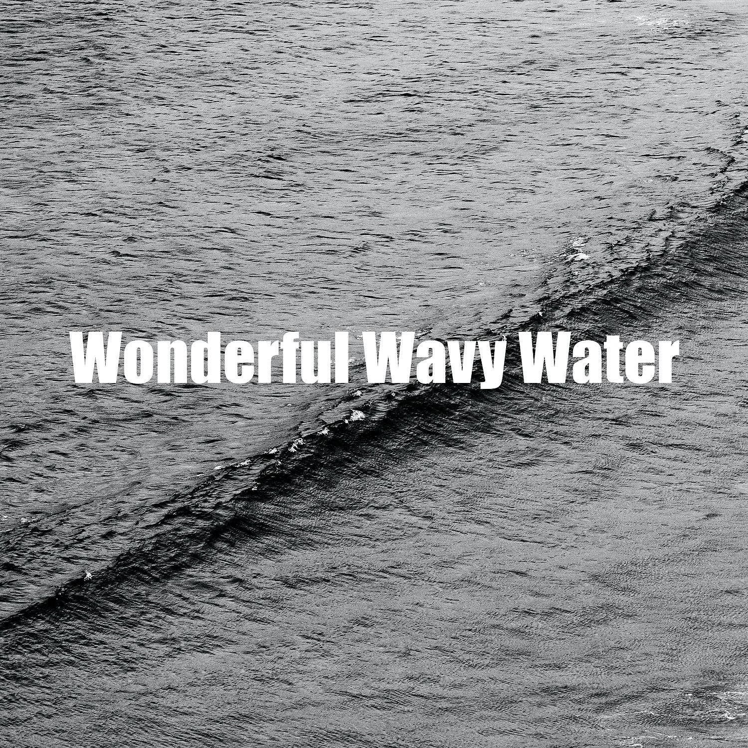 Постер альбома Wonderful Wavy Water