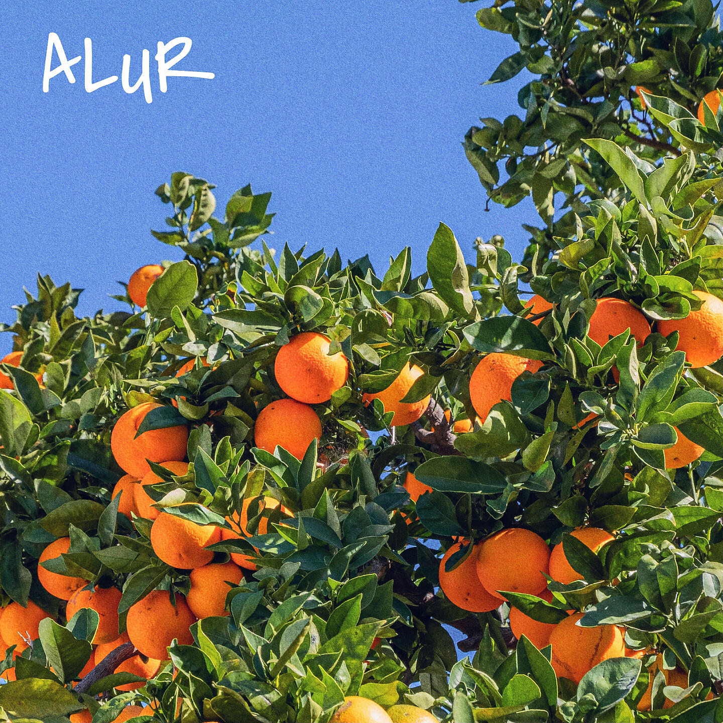 ALUR - На мне
