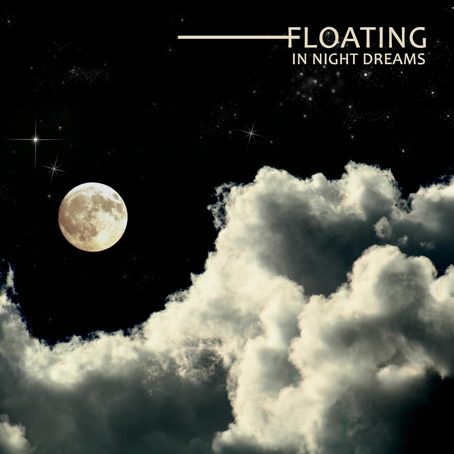 Постер альбома Floating in Night Dreams: Soothing Deep Sleep, Lucid Relaxation, Yoga Meditation
