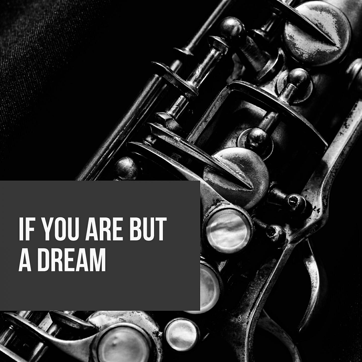 Постер альбома If You Are but a Dream