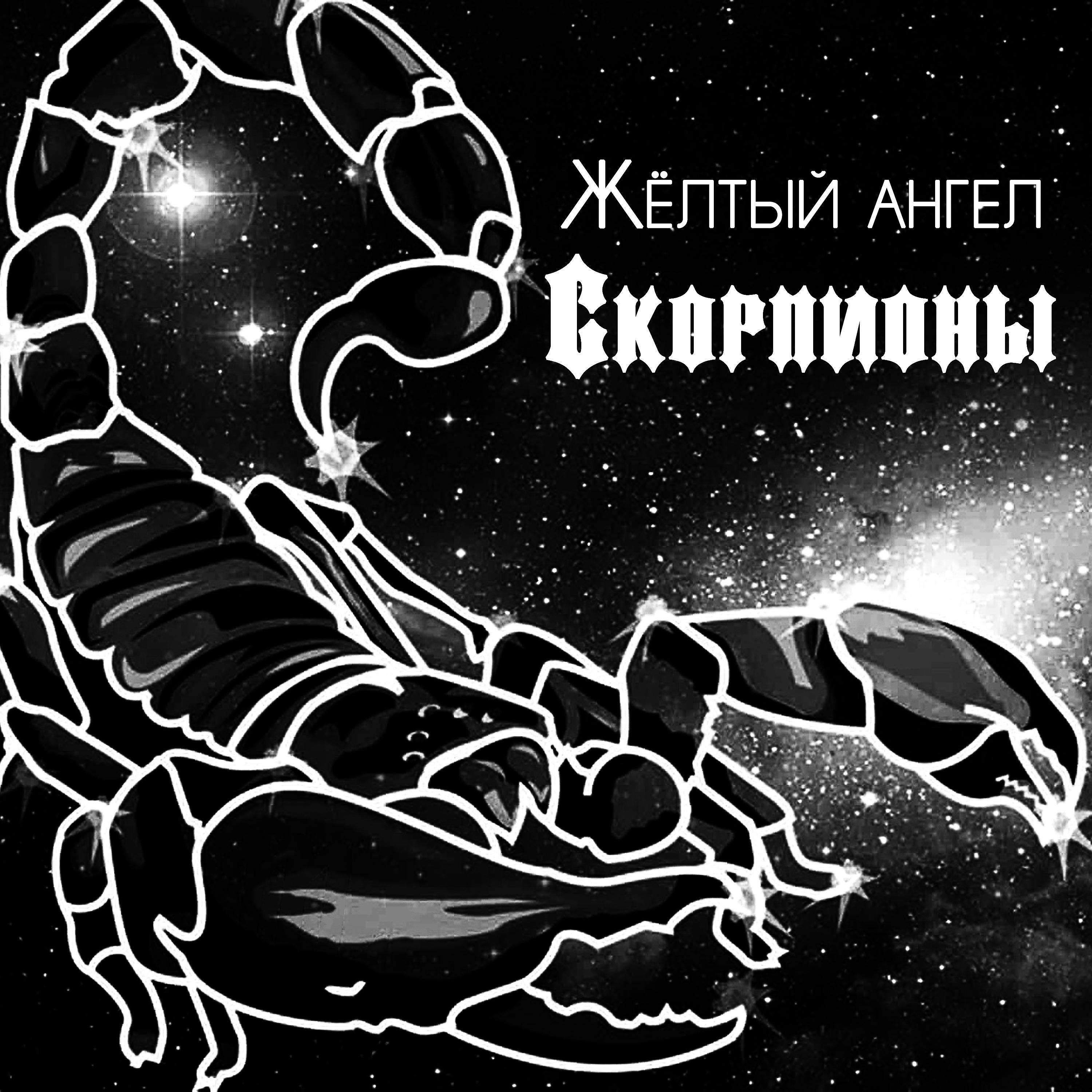 Постер альбома Скорпионы