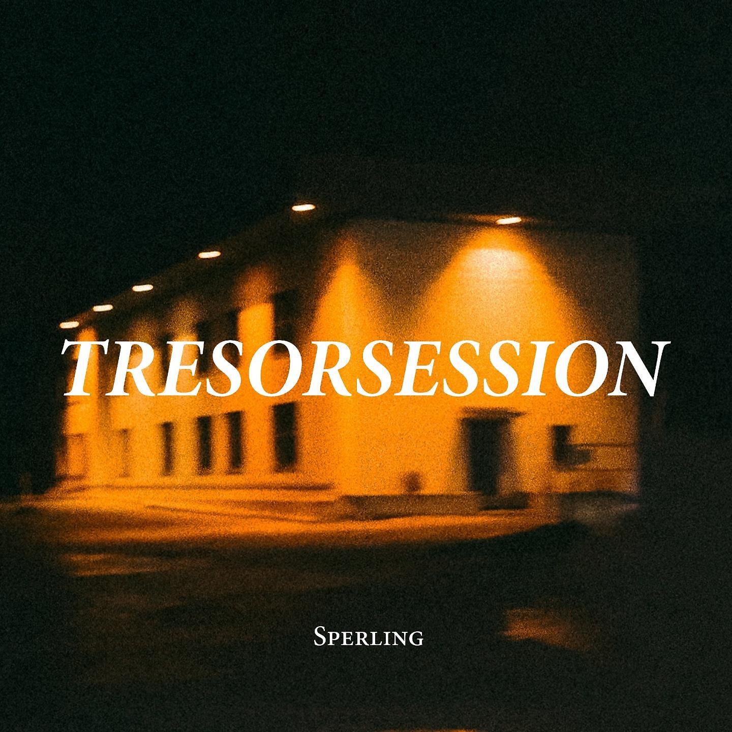 Постер альбома Tresorsession