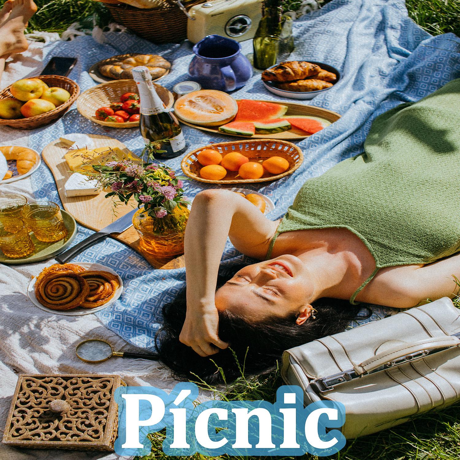 Постер альбома Pícnic