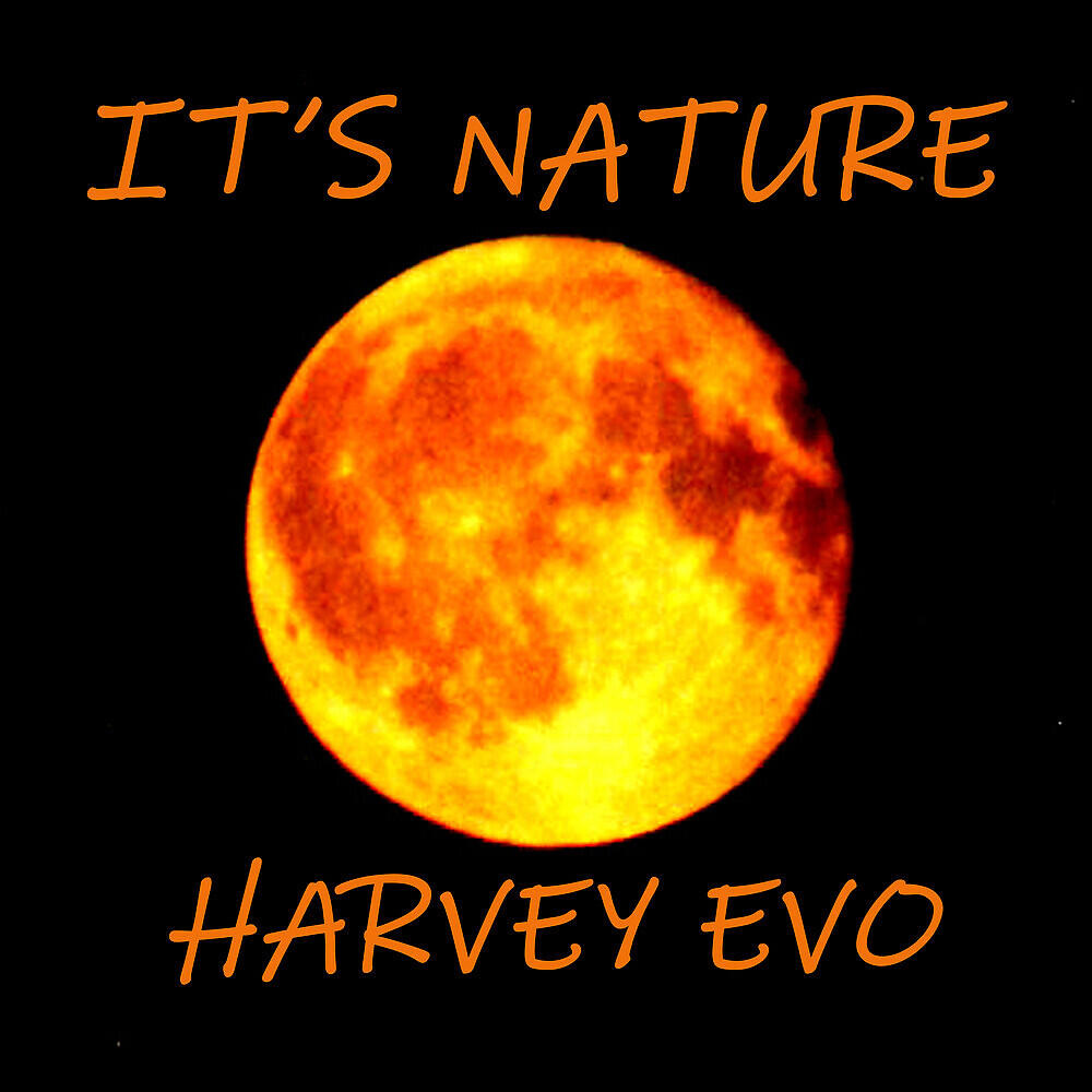 Harvey Evo - You're Feeling Hunky Dory